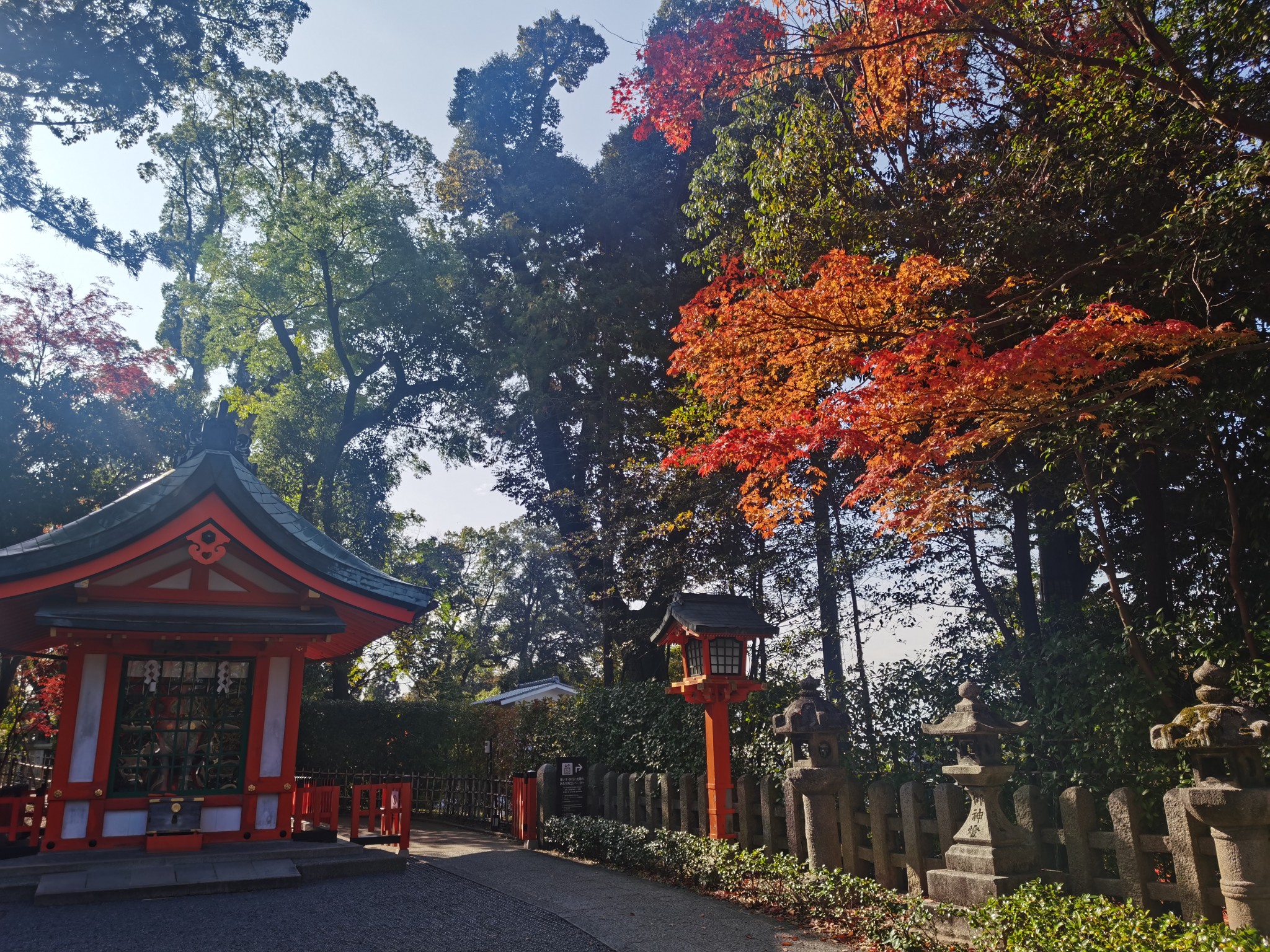 京都自助遊攻略