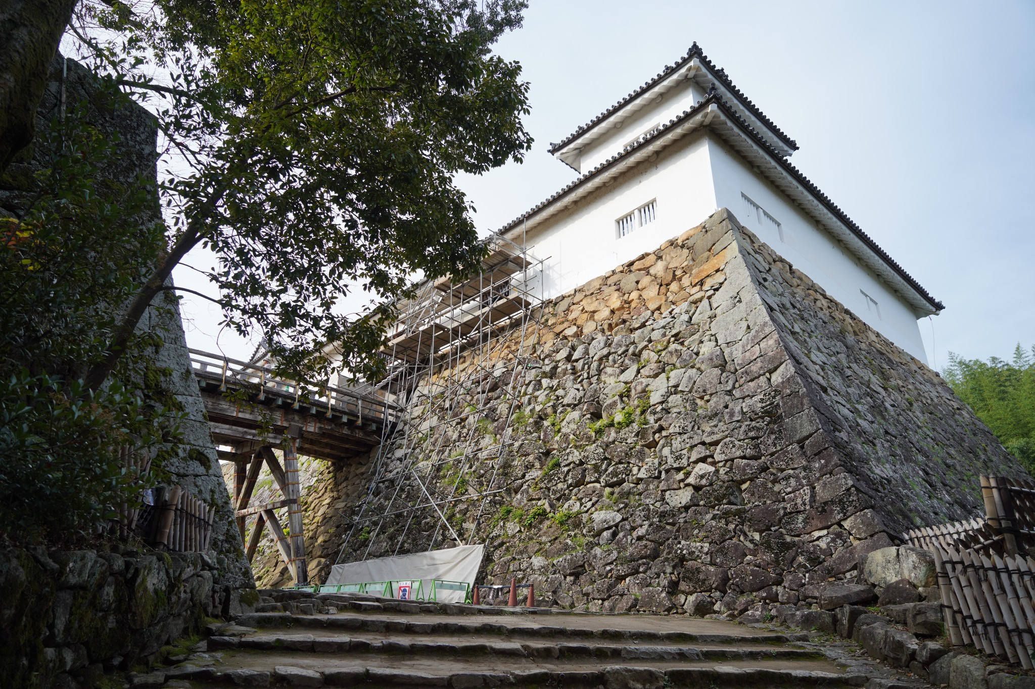 京都自助遊攻略