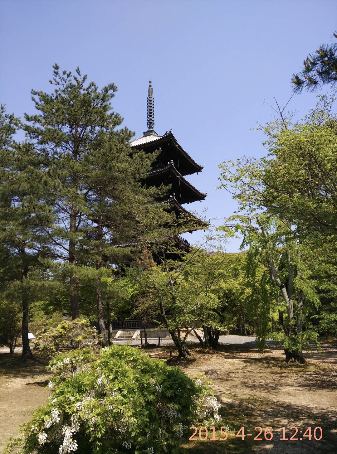 京都自助遊攻略