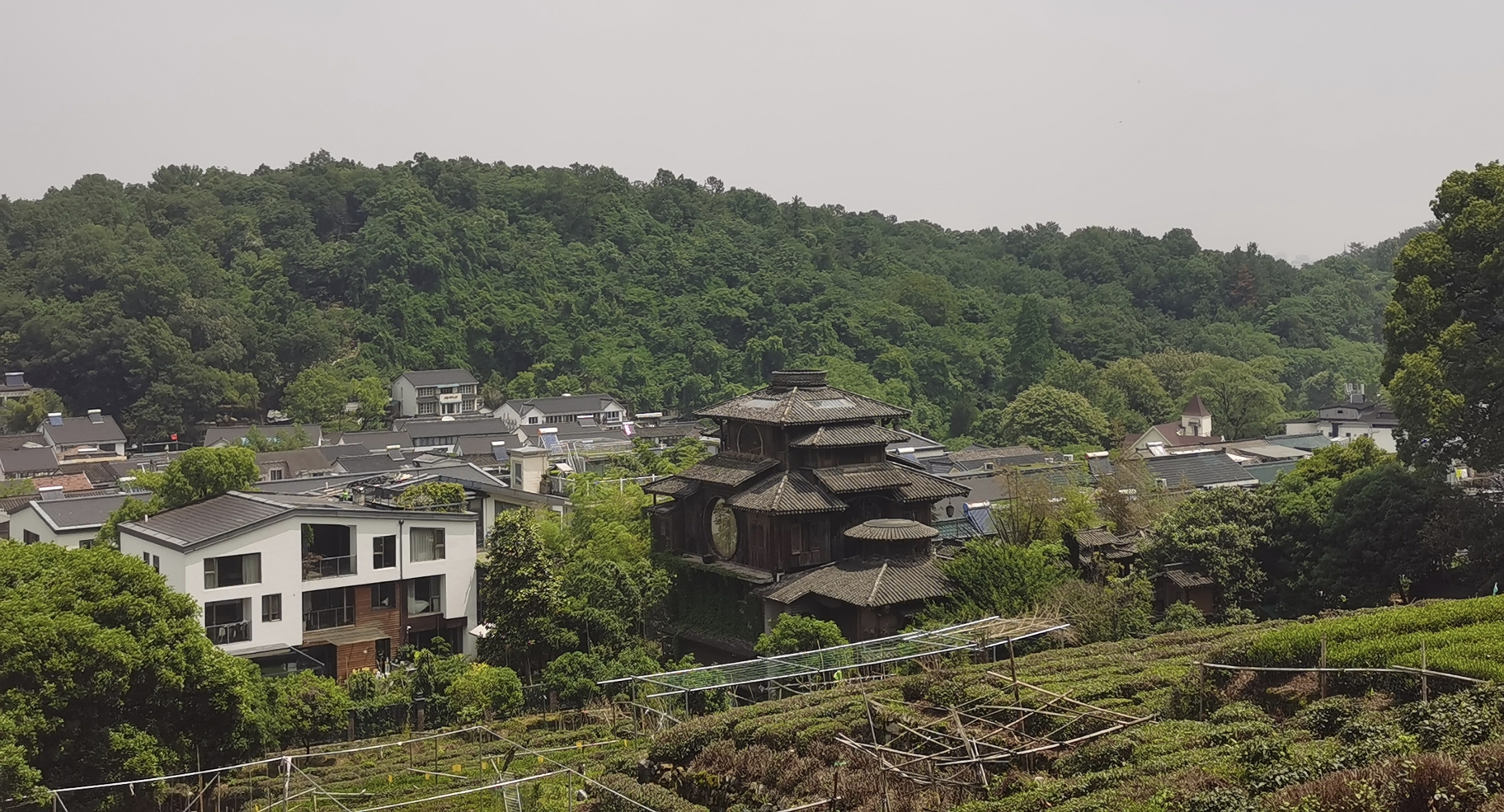 满觉陇的美可不止"千寻的汤屋"喔,更有白鹤峰的野生导游_游记