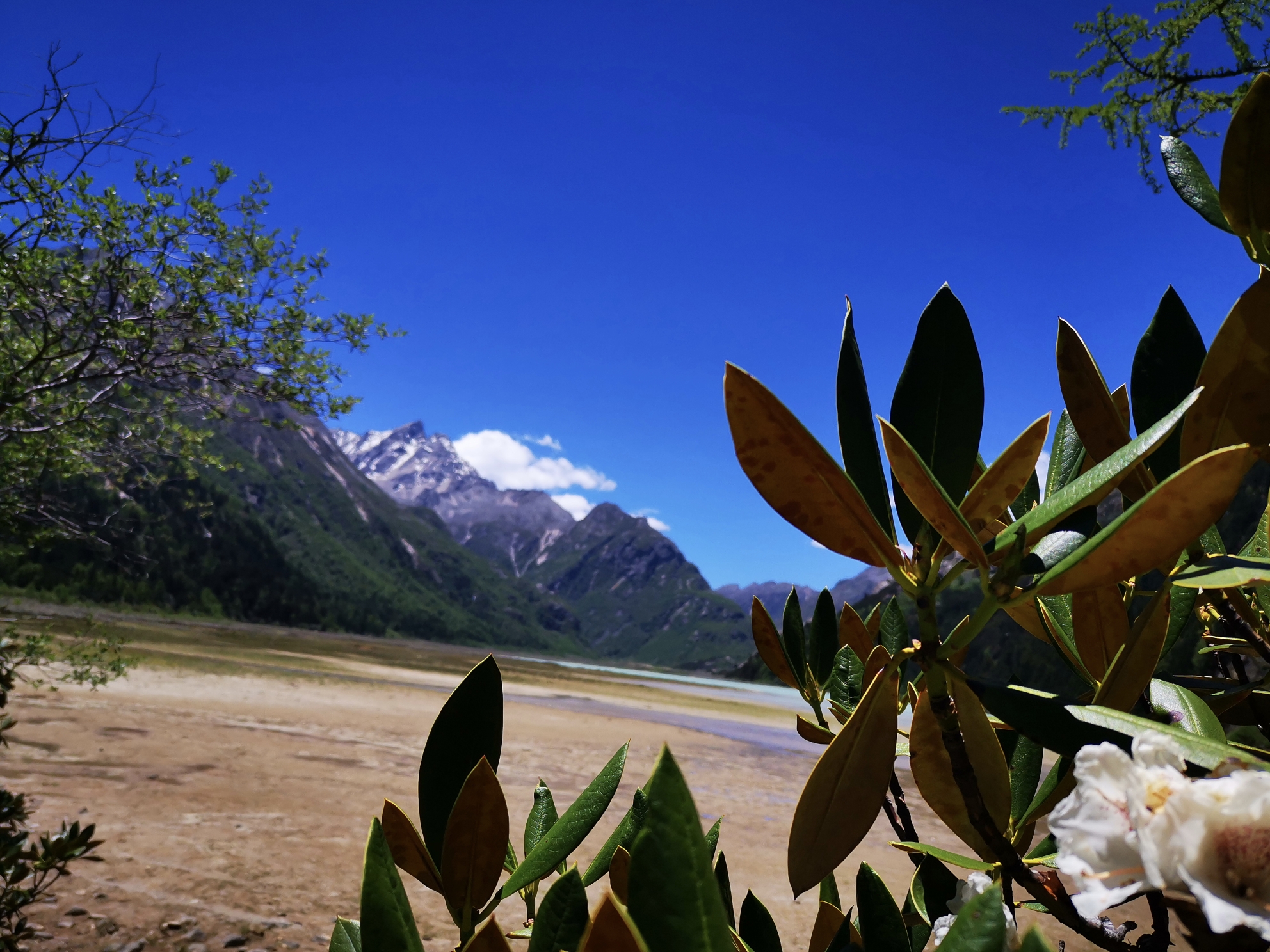 甲根坝莲花湖康定