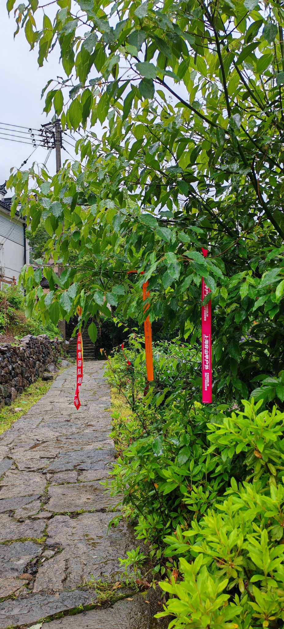 新昌韩妃江古道倒脱靴环线徒步