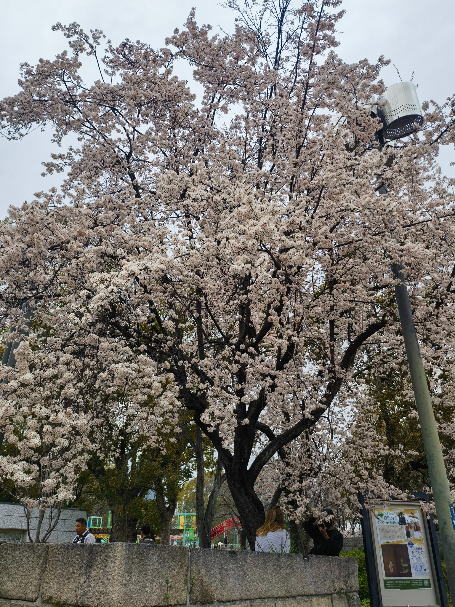 日本自助遊攻略