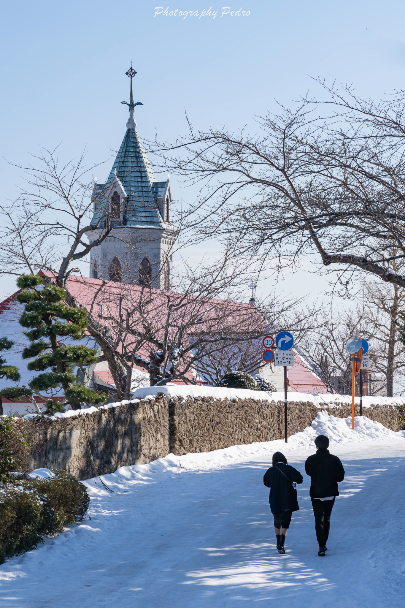 北海道自助遊攻略