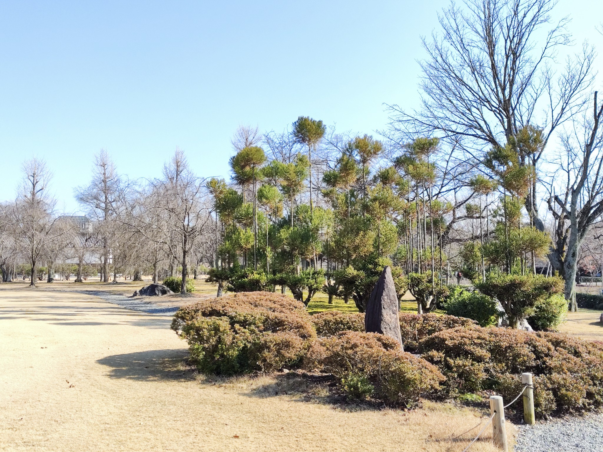 京都自助遊攻略