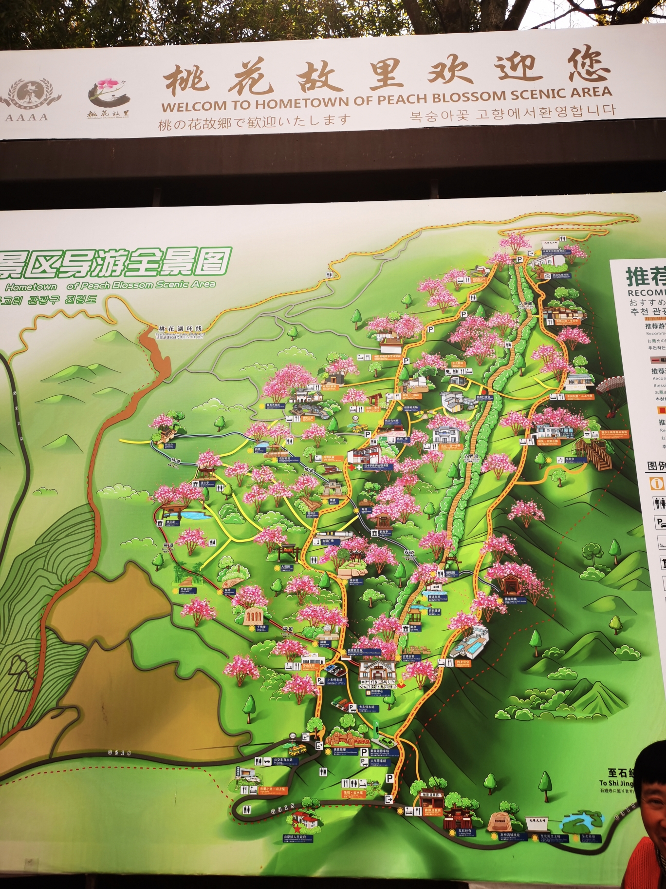成都周边(二十六)|龙泉山桃花故里,龙泉驿自助游攻略 - 马蜂窝