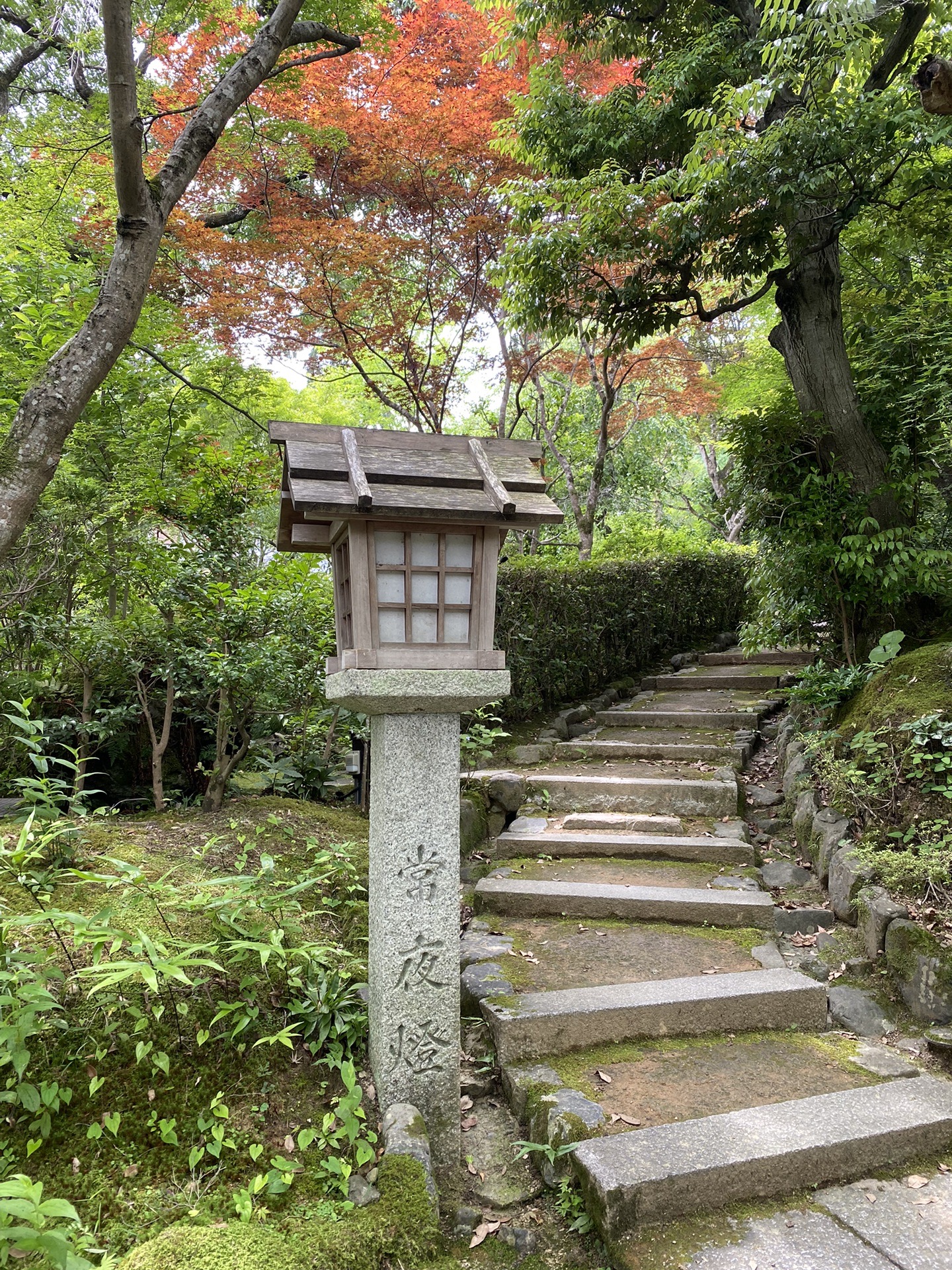 京都自助遊攻略