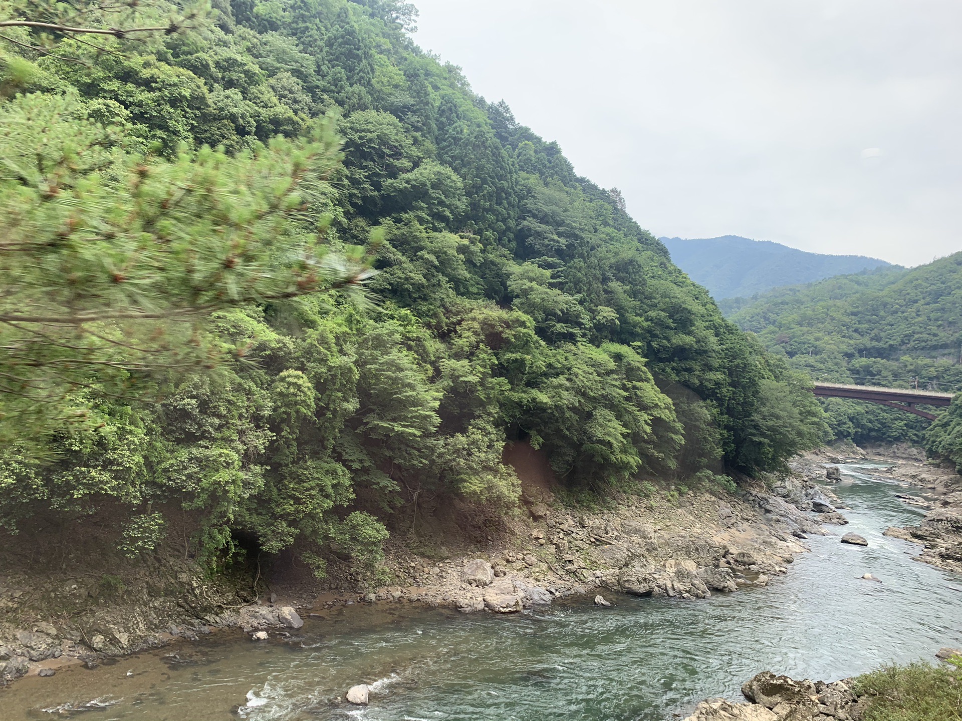 京都自助遊攻略