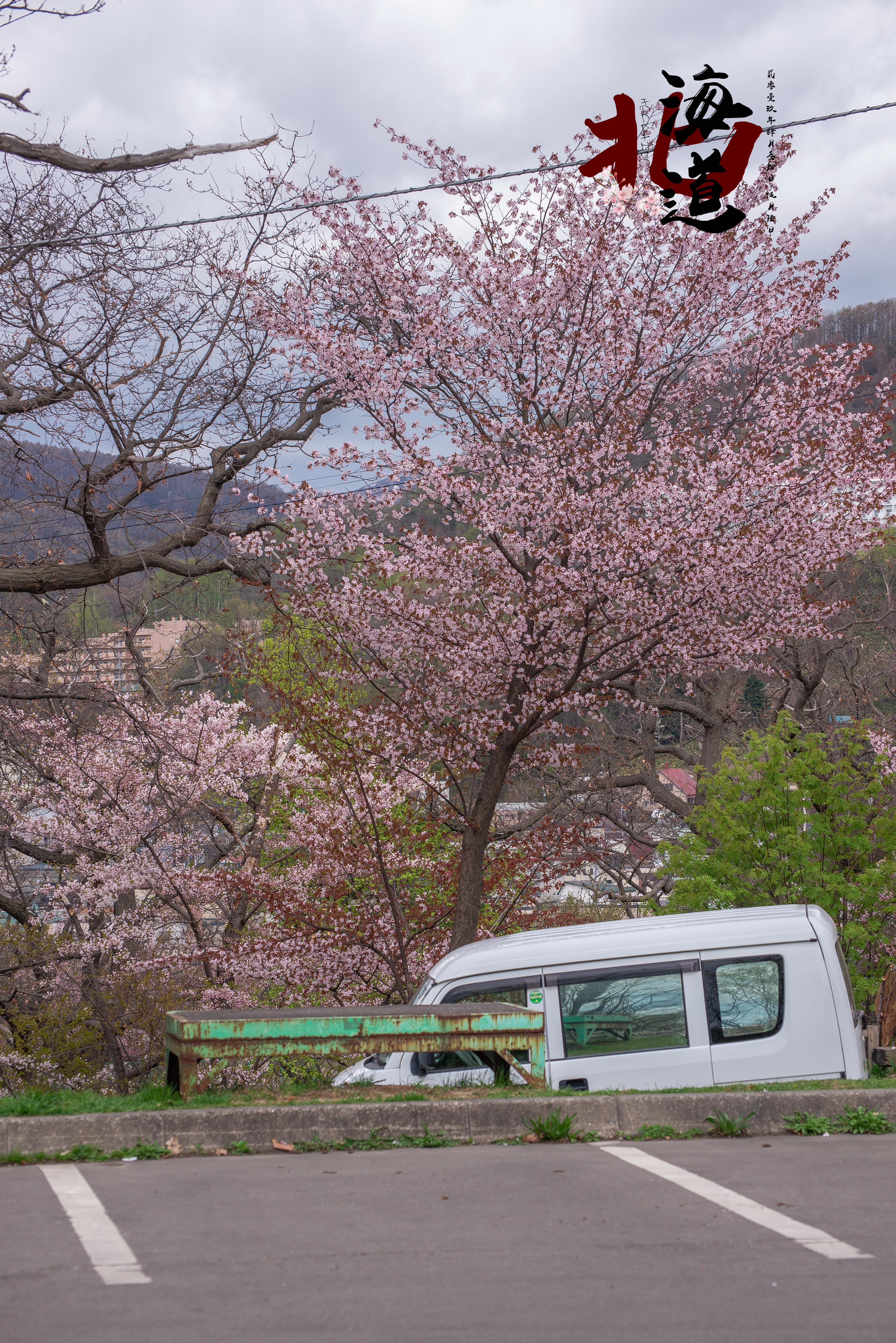 北海道自助遊攻略