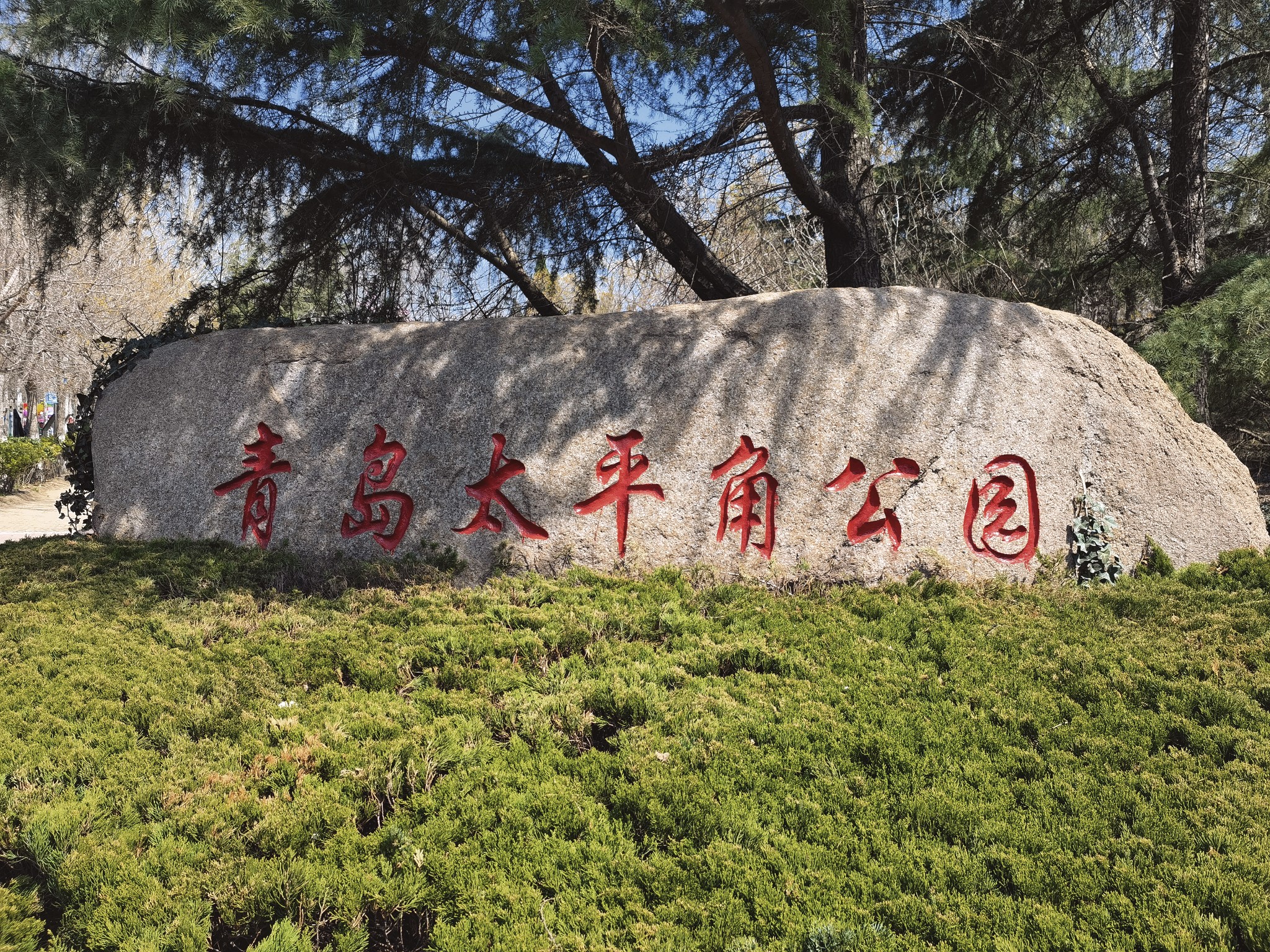 【青岛春日暴走日志】四天三夜：💨吹成海带的我们，与樱花撞个满怀🌸插图243