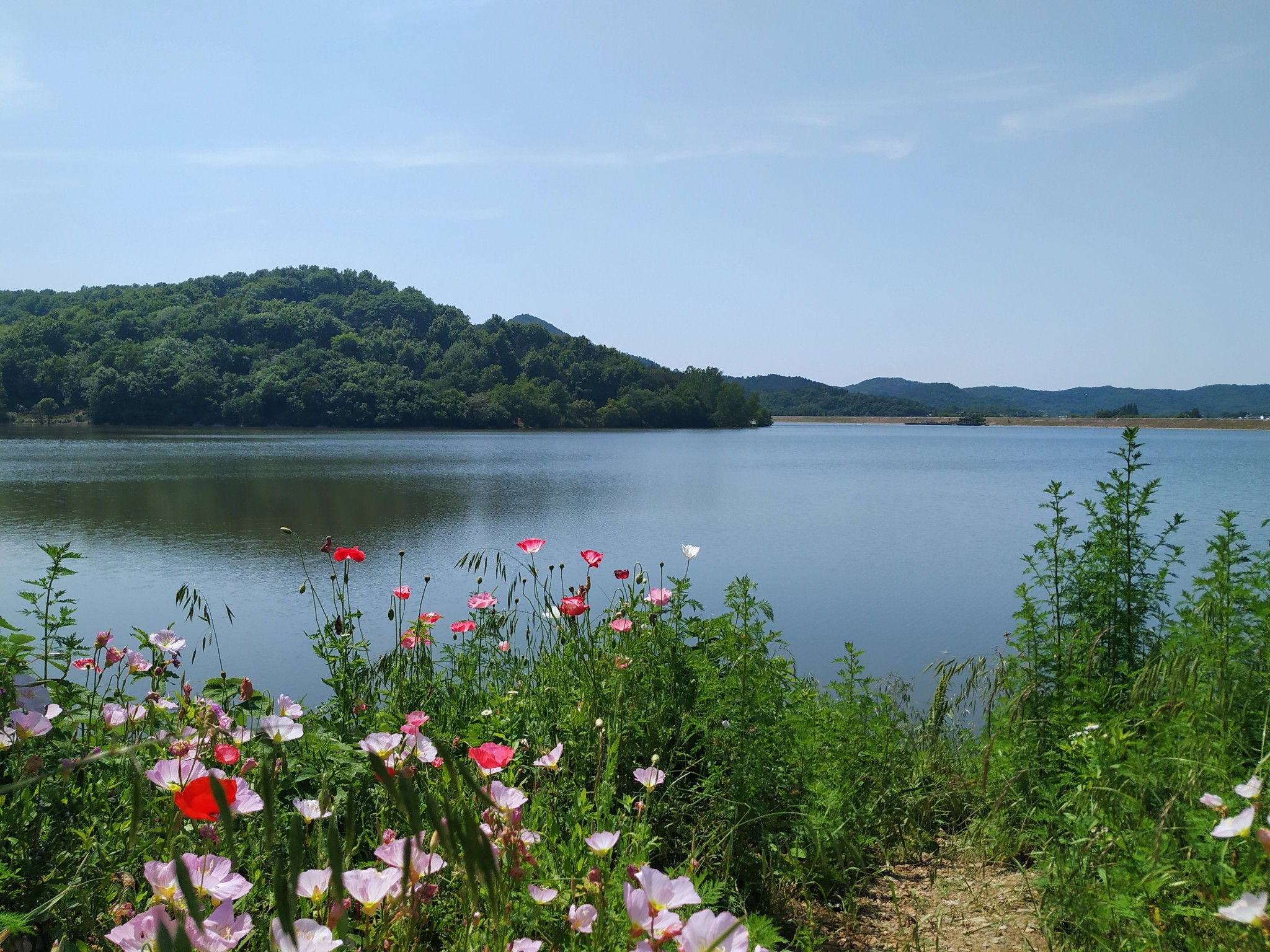 金湯湖溼地公園十里長衝五月花牛王寨白馬嶺岱鰲山黃山寨--山上黃山寨