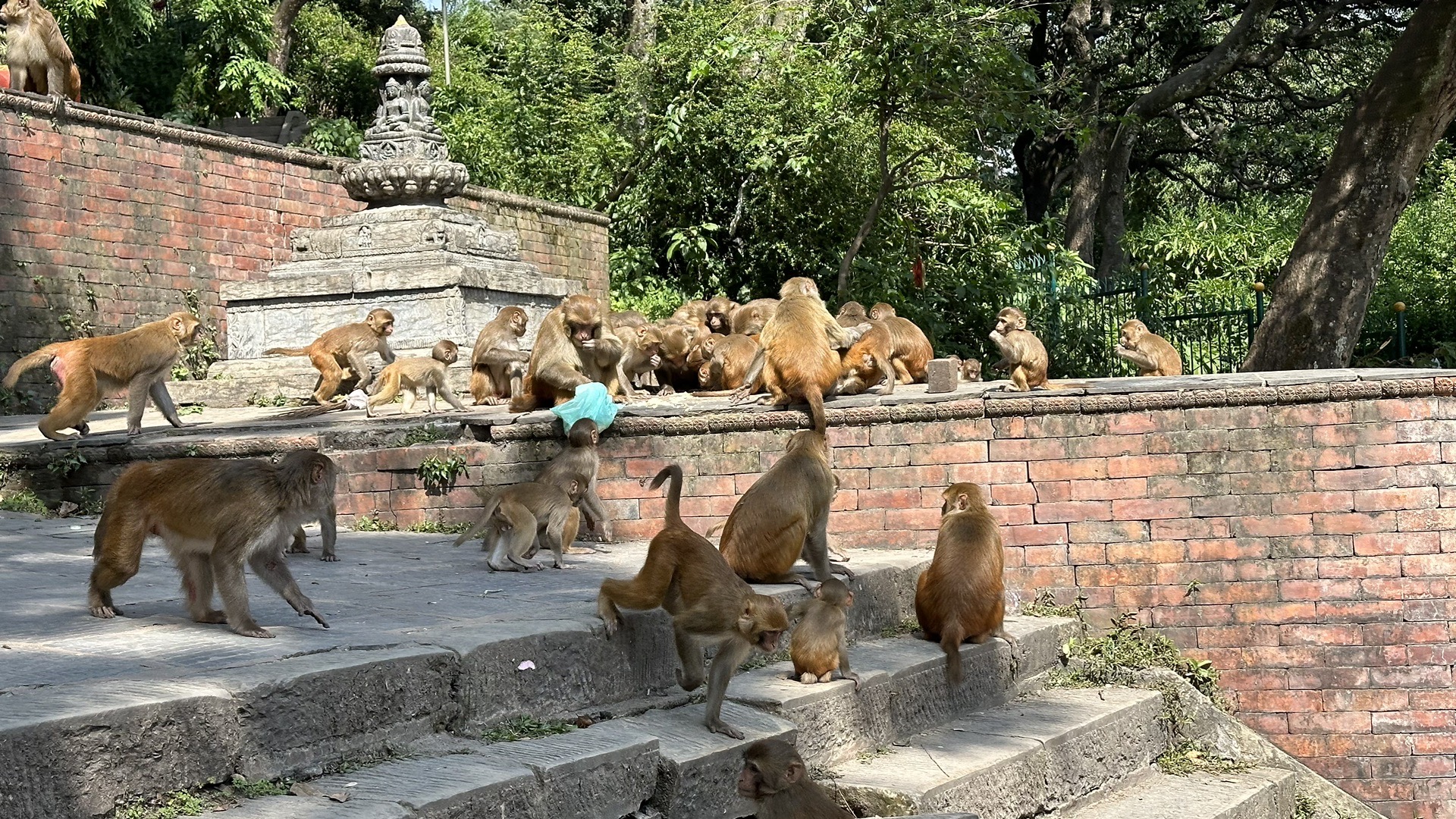 加德滿都自助遊攻略