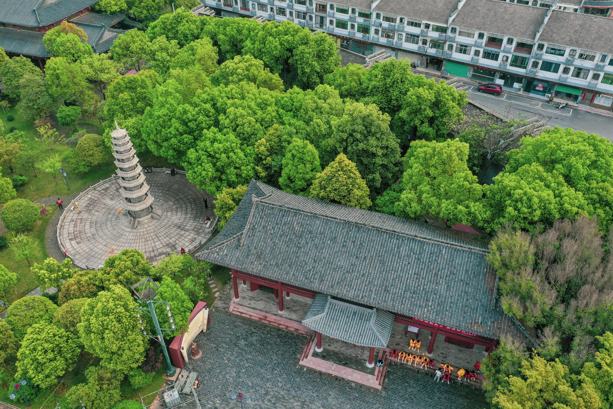 不负春光25小时直达在赣州赣县遇见十里樱花的春日浪漫