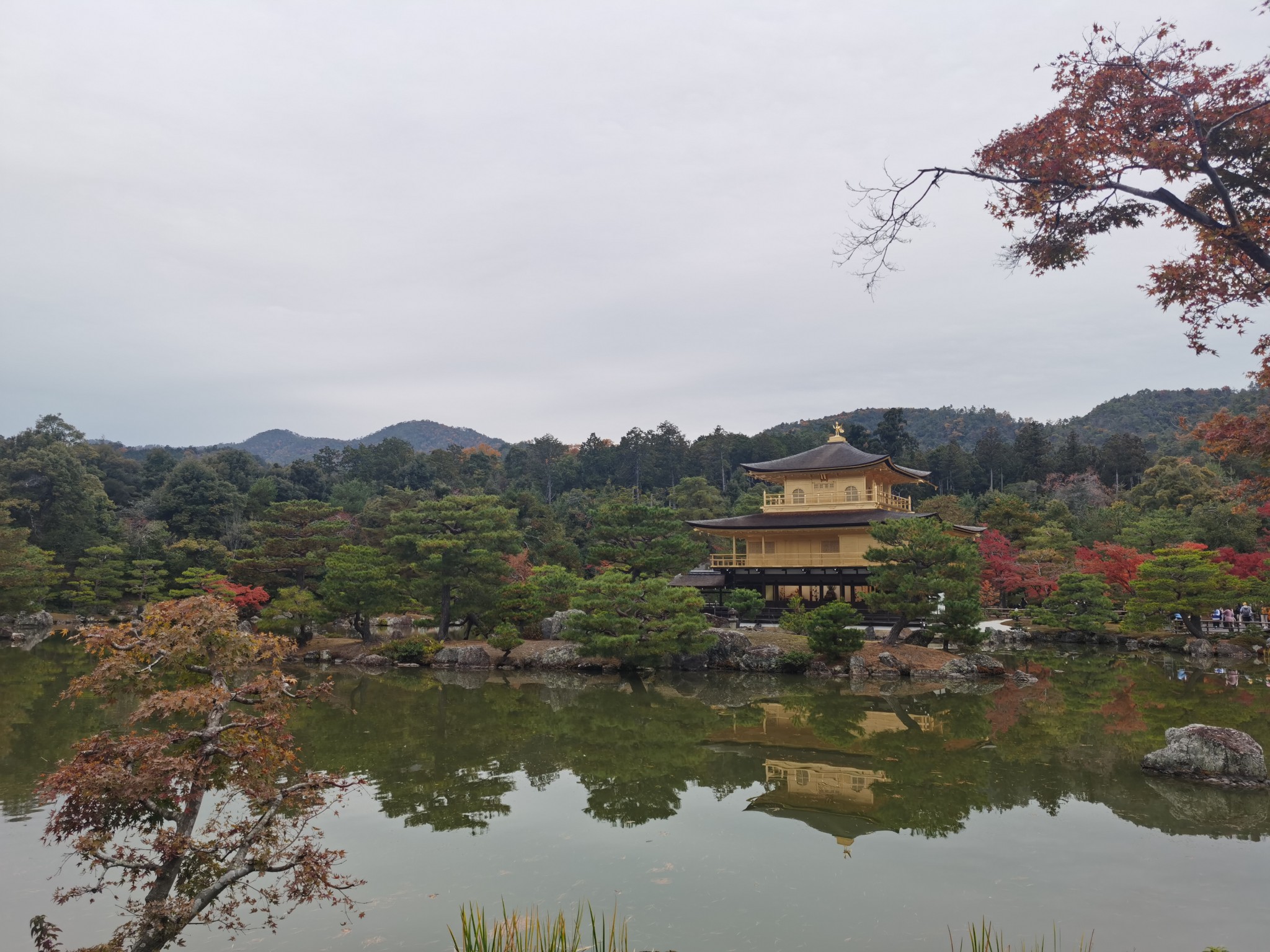 京都自助遊攻略