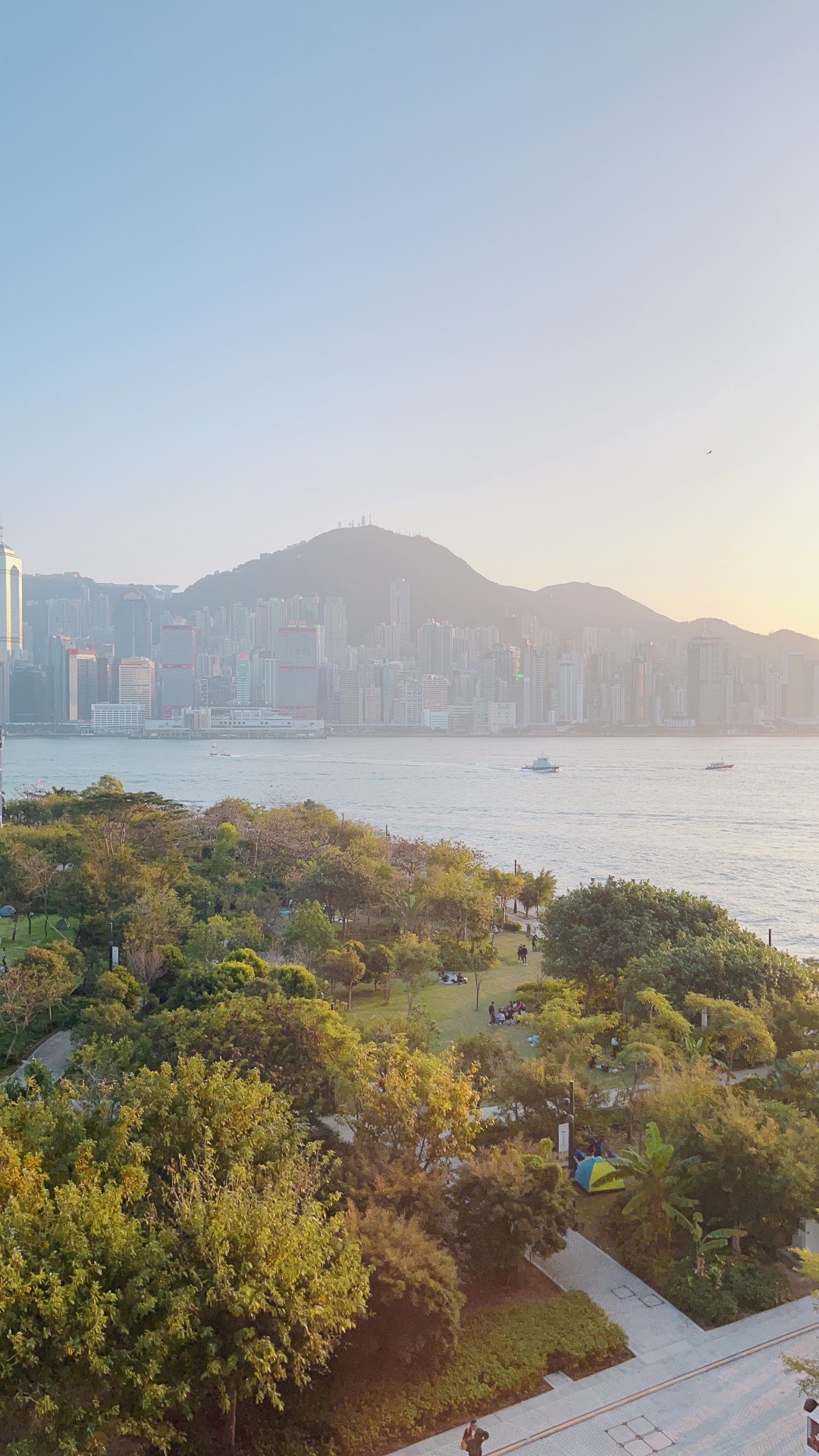 香港景点马蜂窝图片