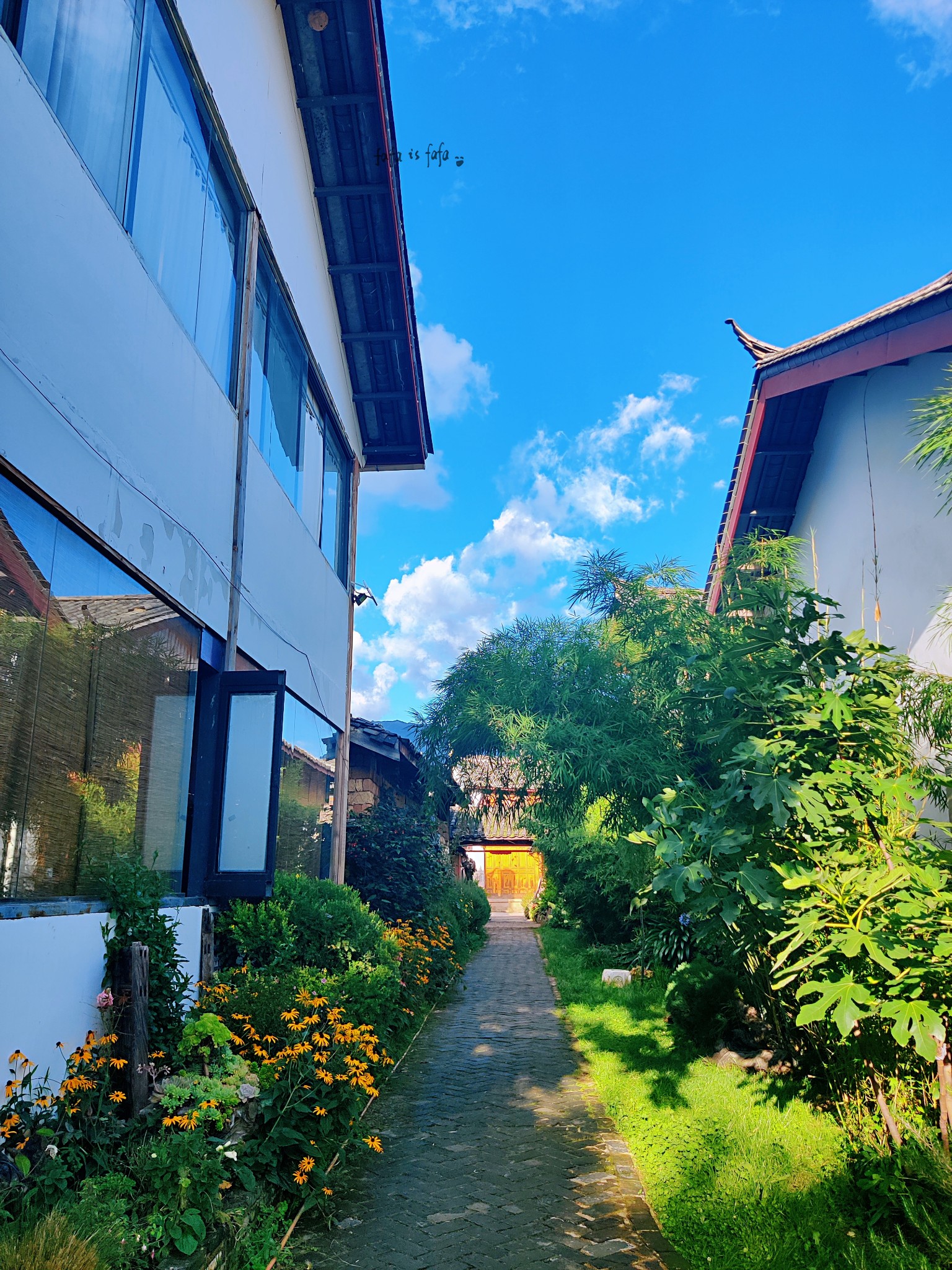 雲南自助遊攻略