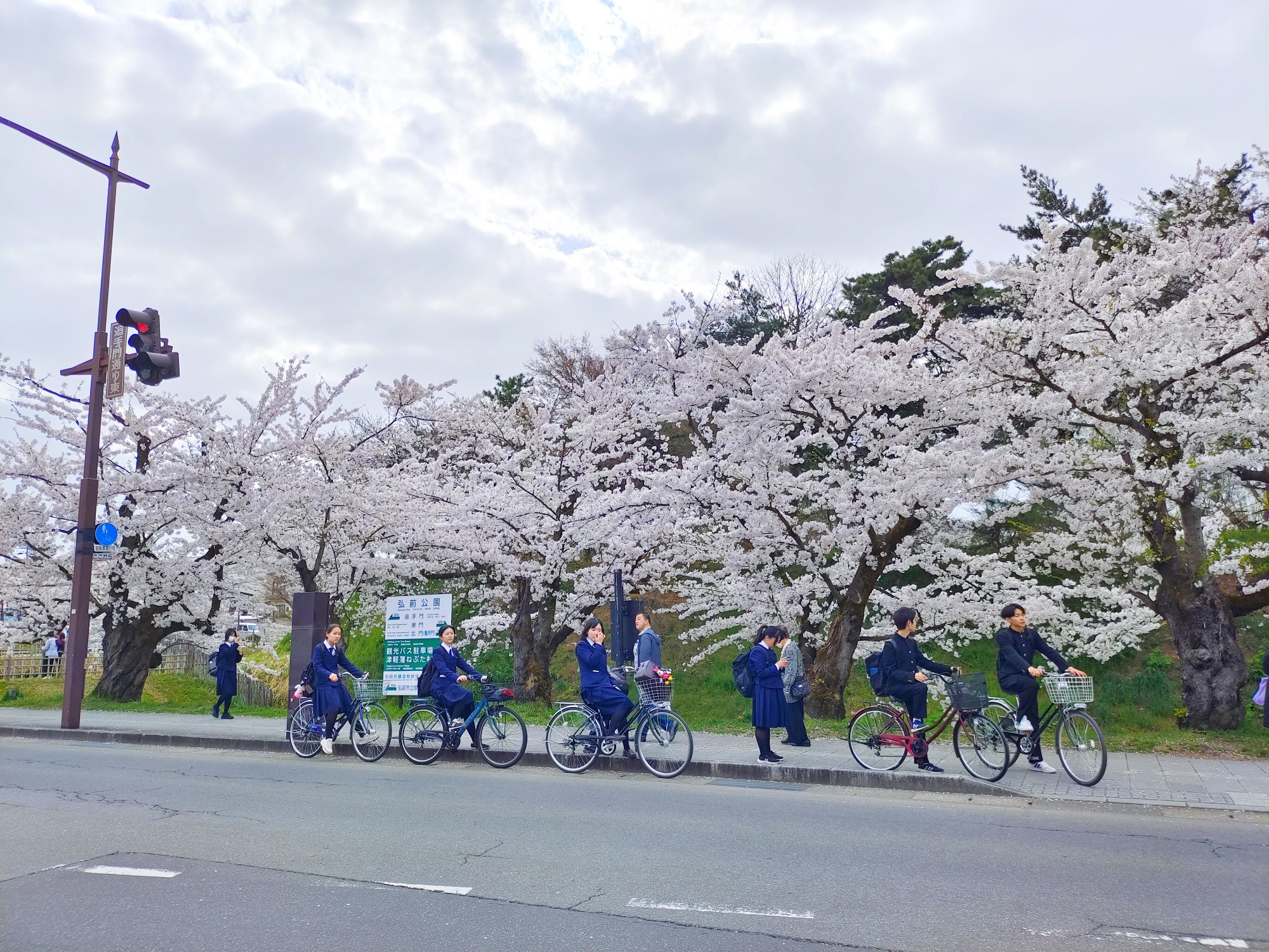 青森縣自助遊攻略