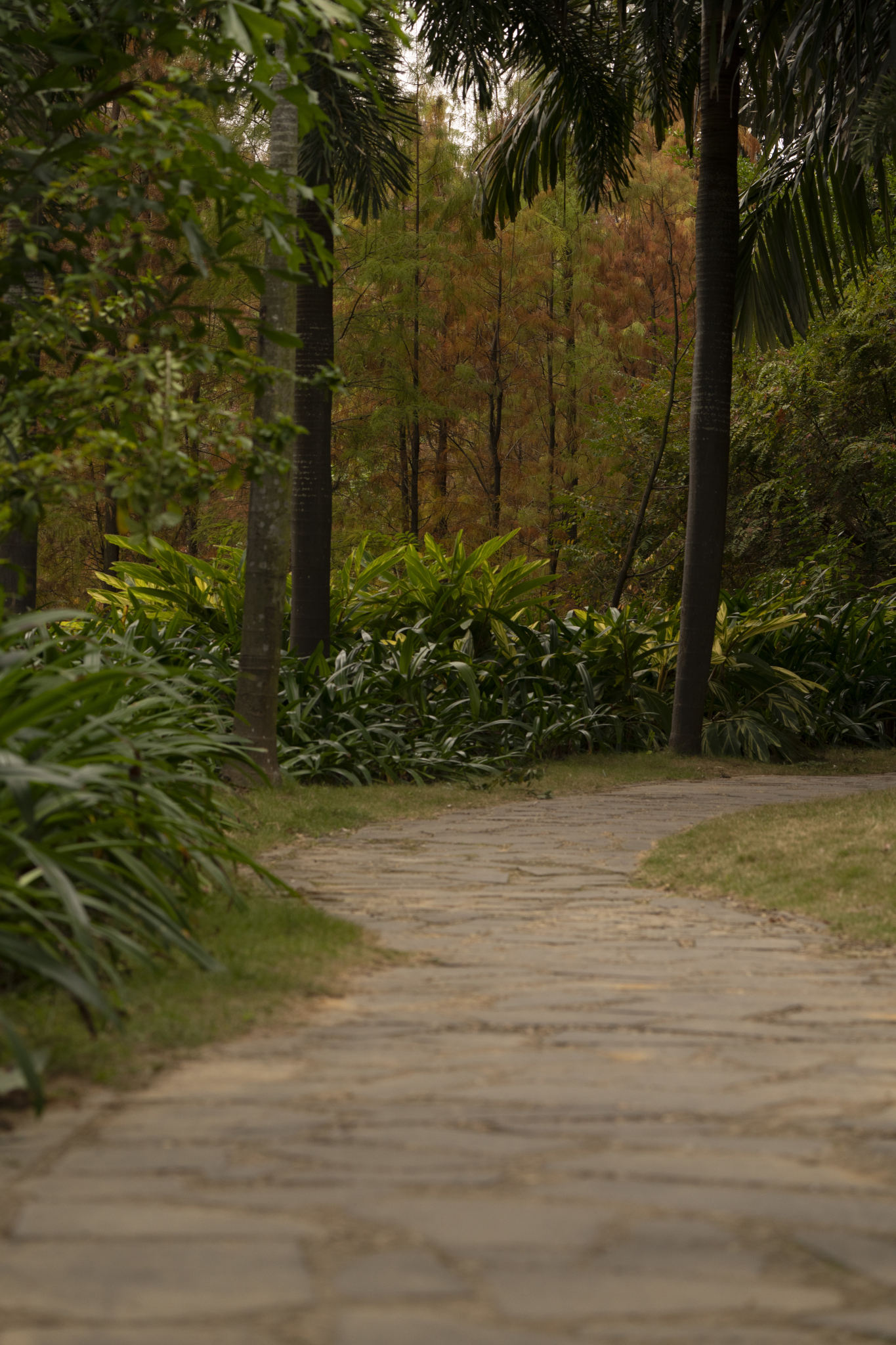 湛江市霞山区公园
