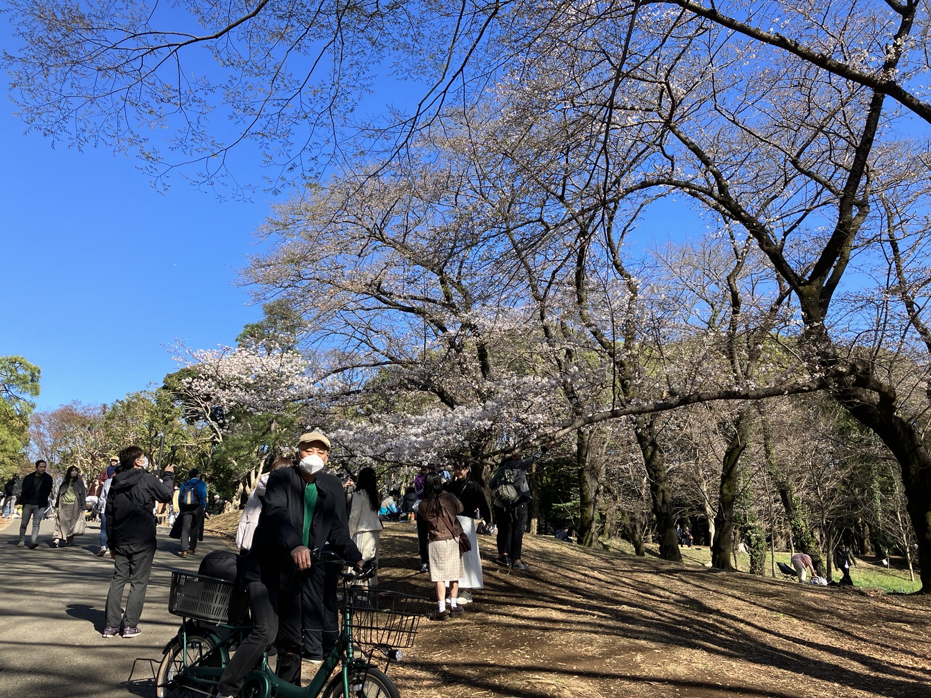 東京自助遊攻略