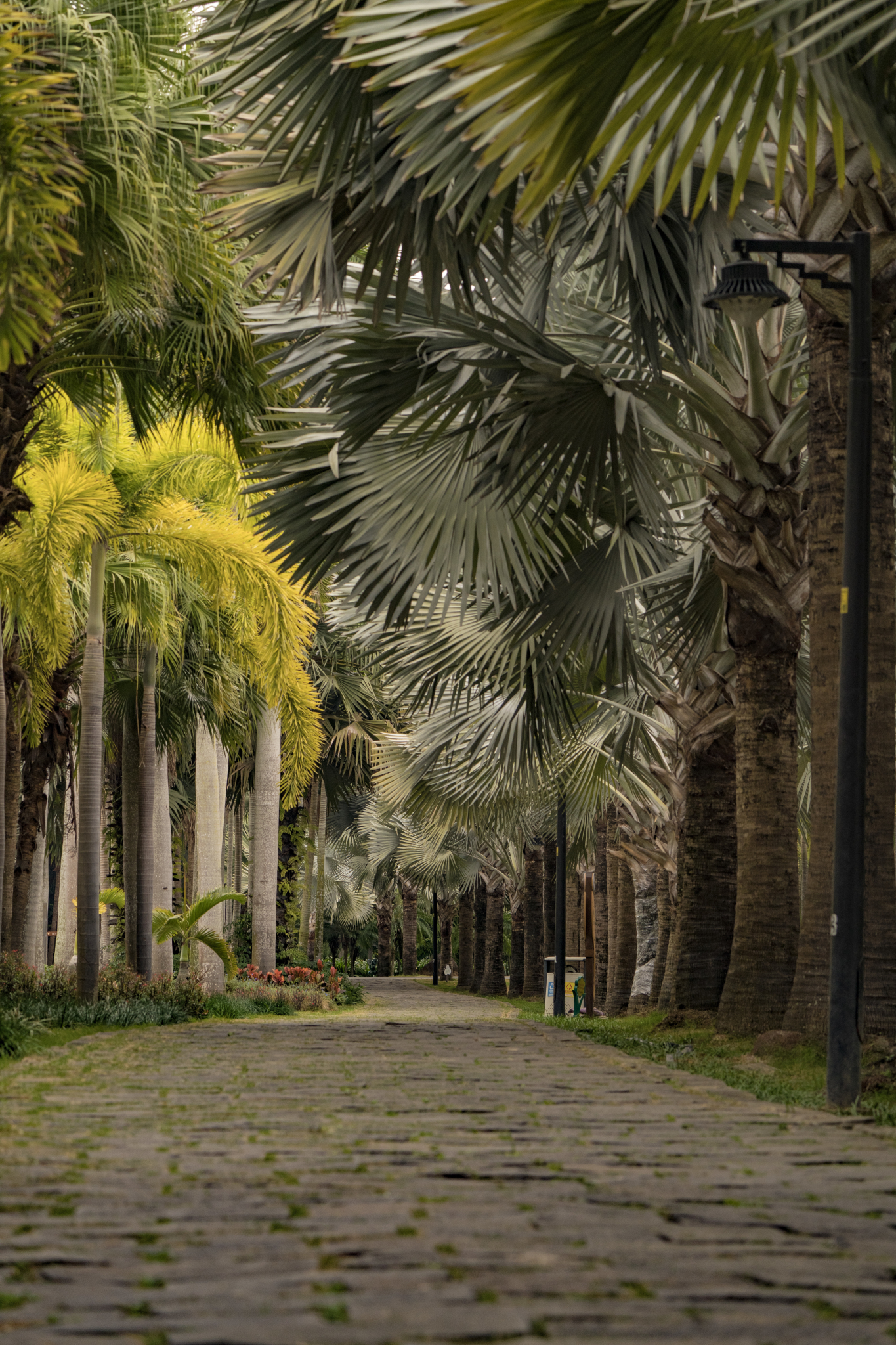 湛江市霞山区公园