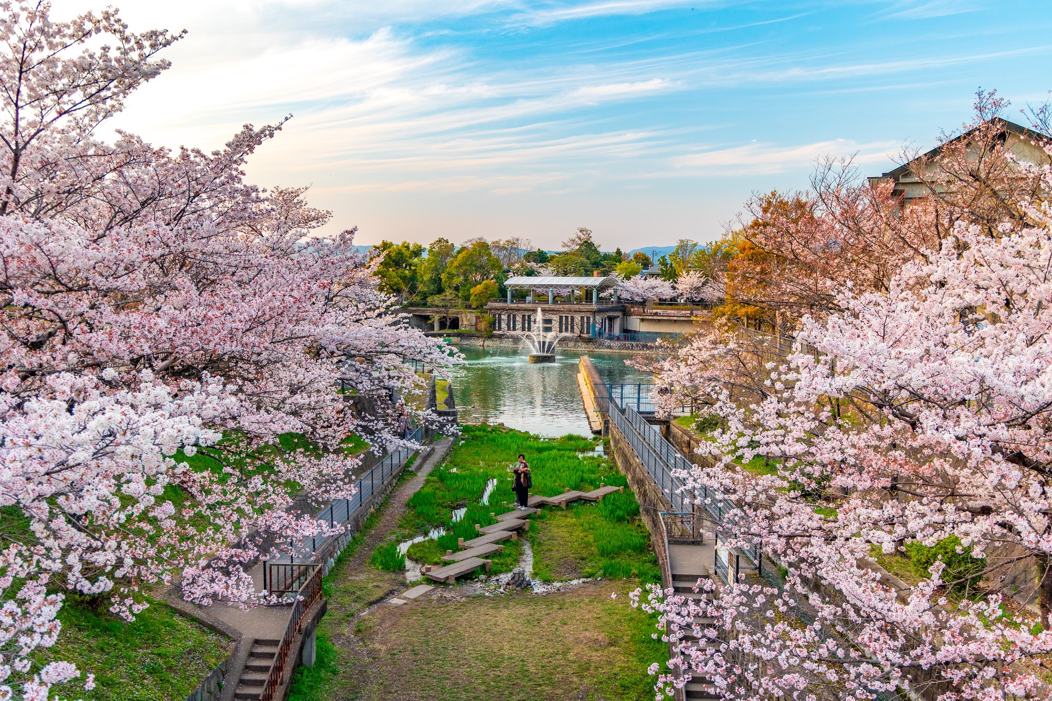 京都自助遊攻略