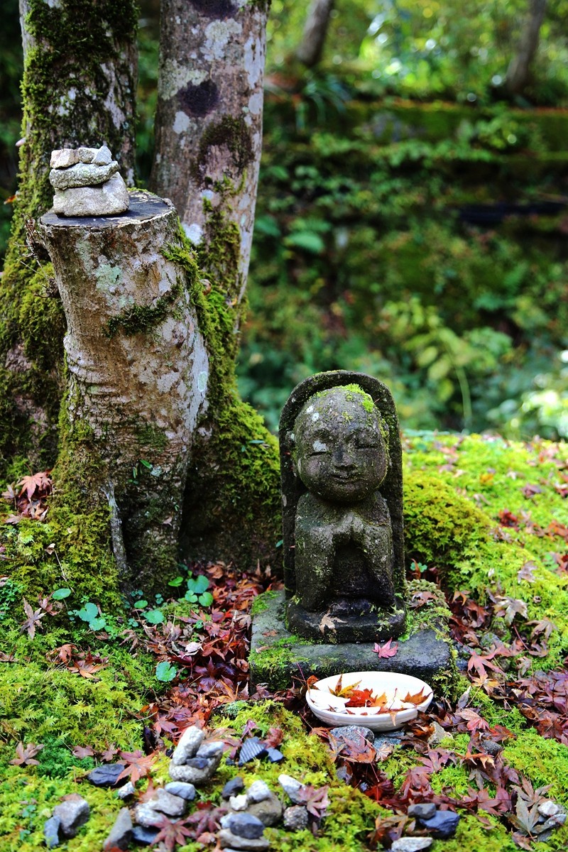 京都自助遊攻略