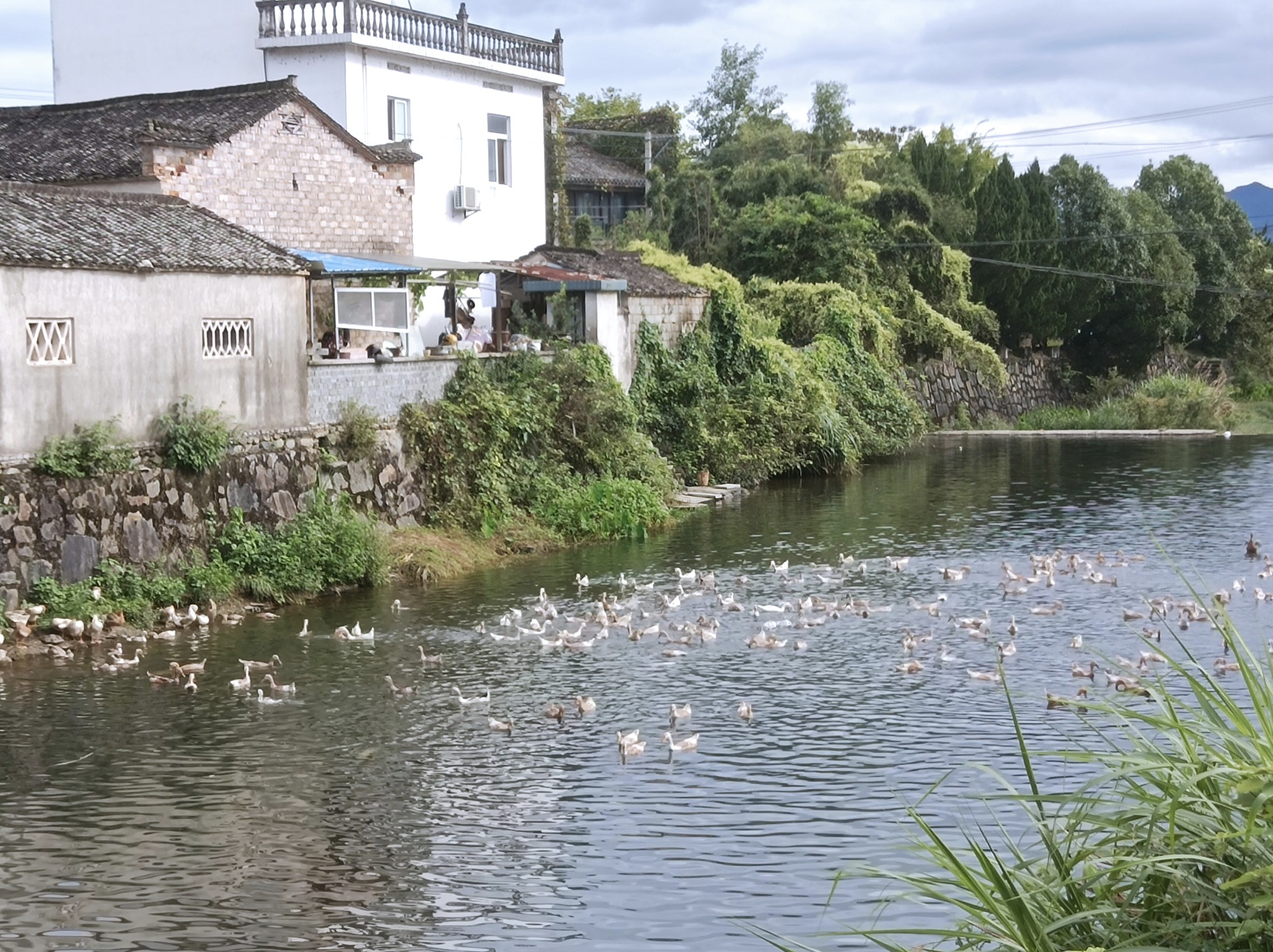 七口旅游景点在哪里图片