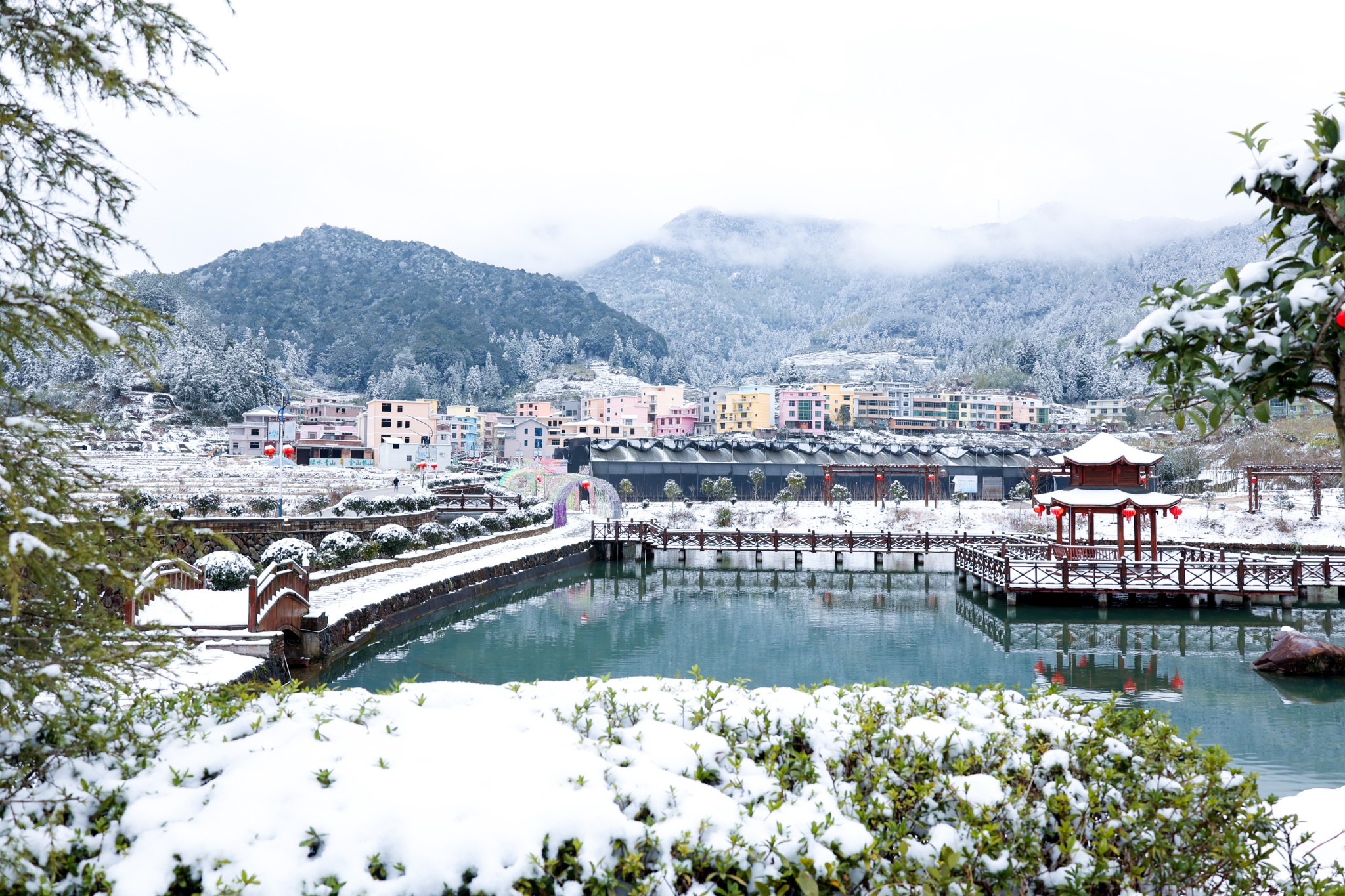 在南方经历一场风花雪月|宁德下雪了_游记