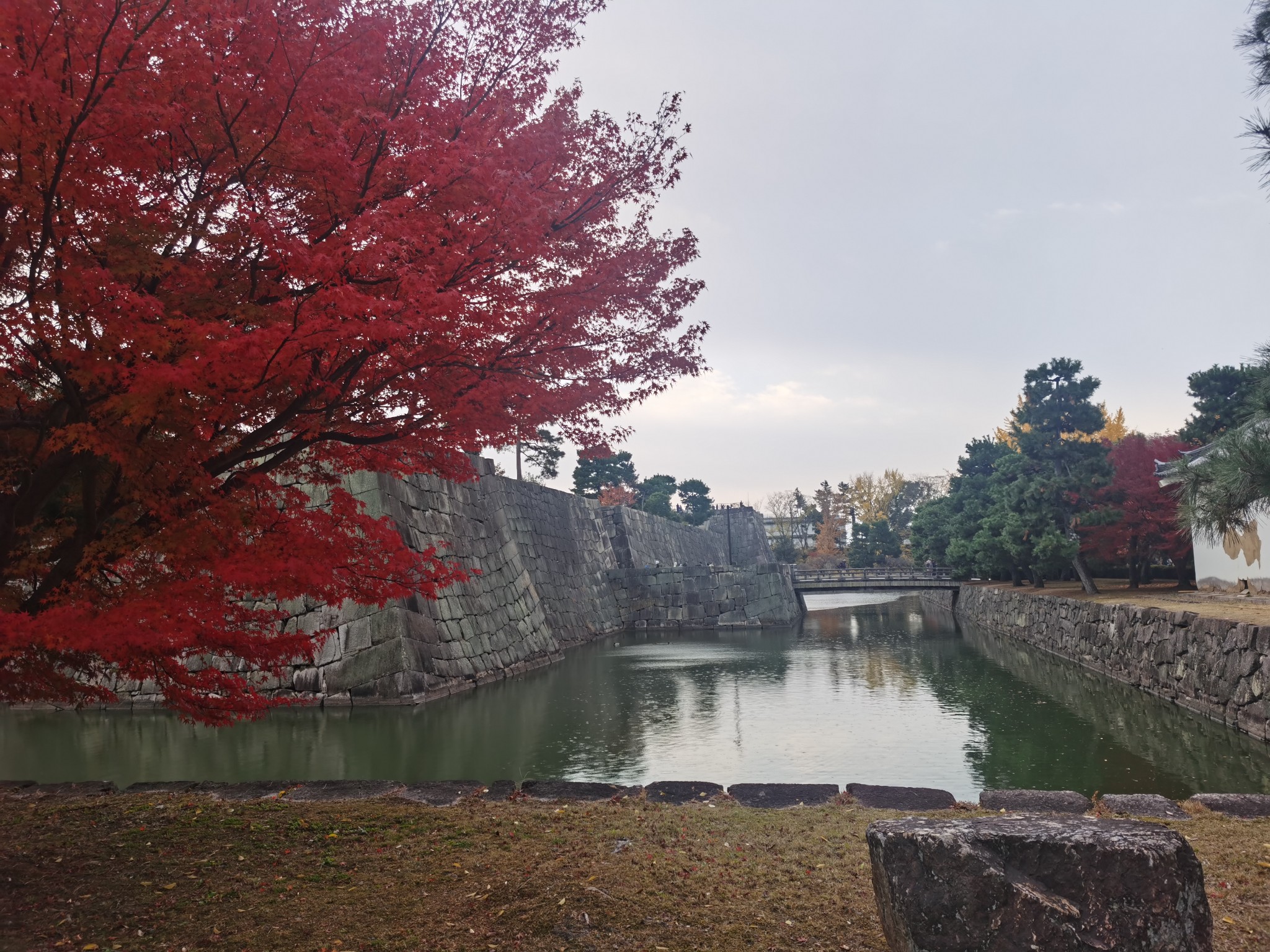 京都自助遊攻略