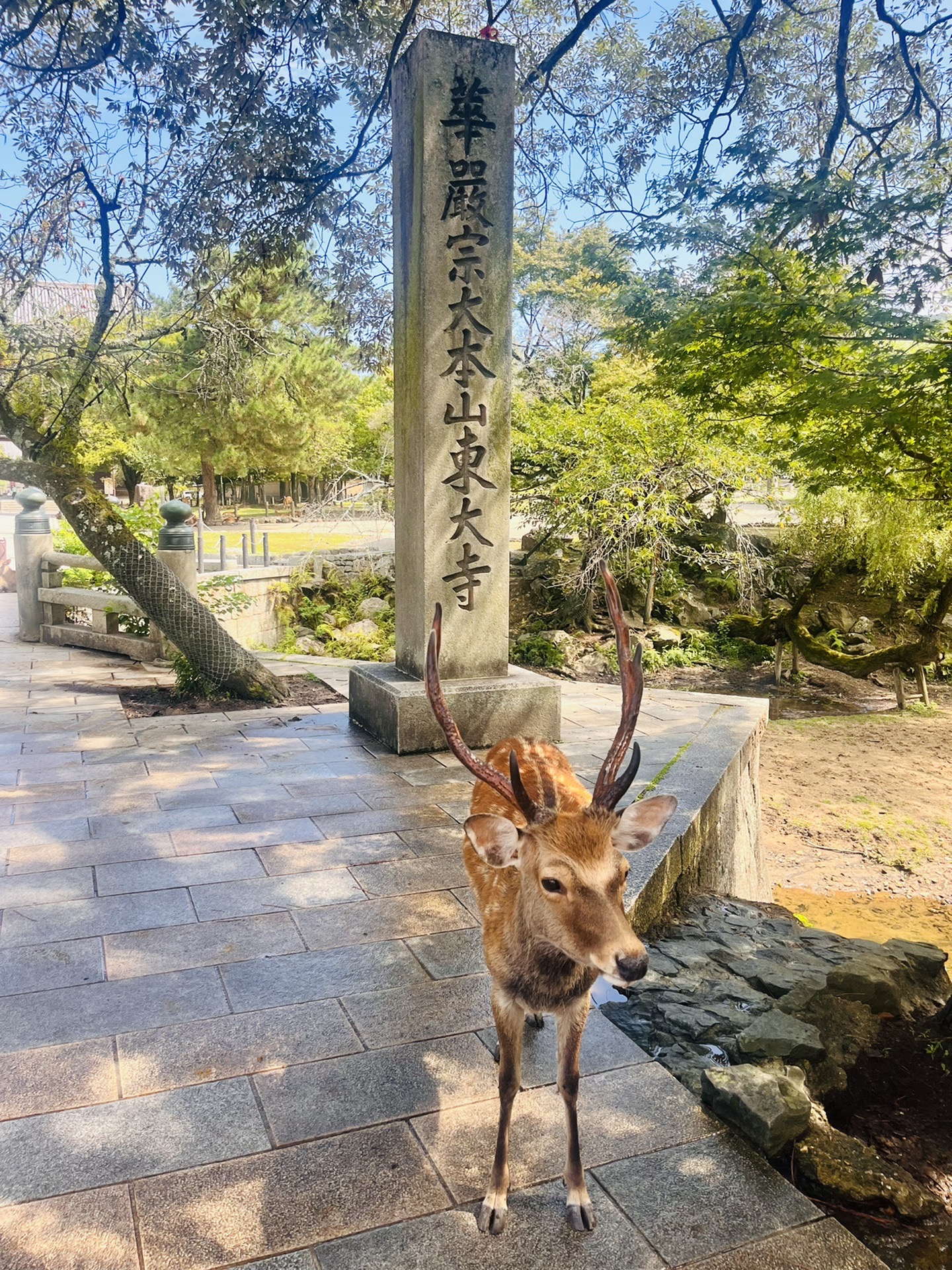 大阪自助遊攻略