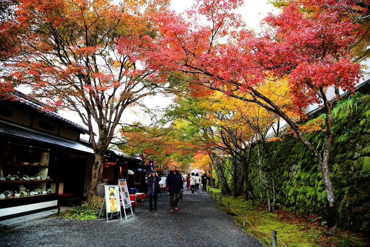 京都自助遊攻略