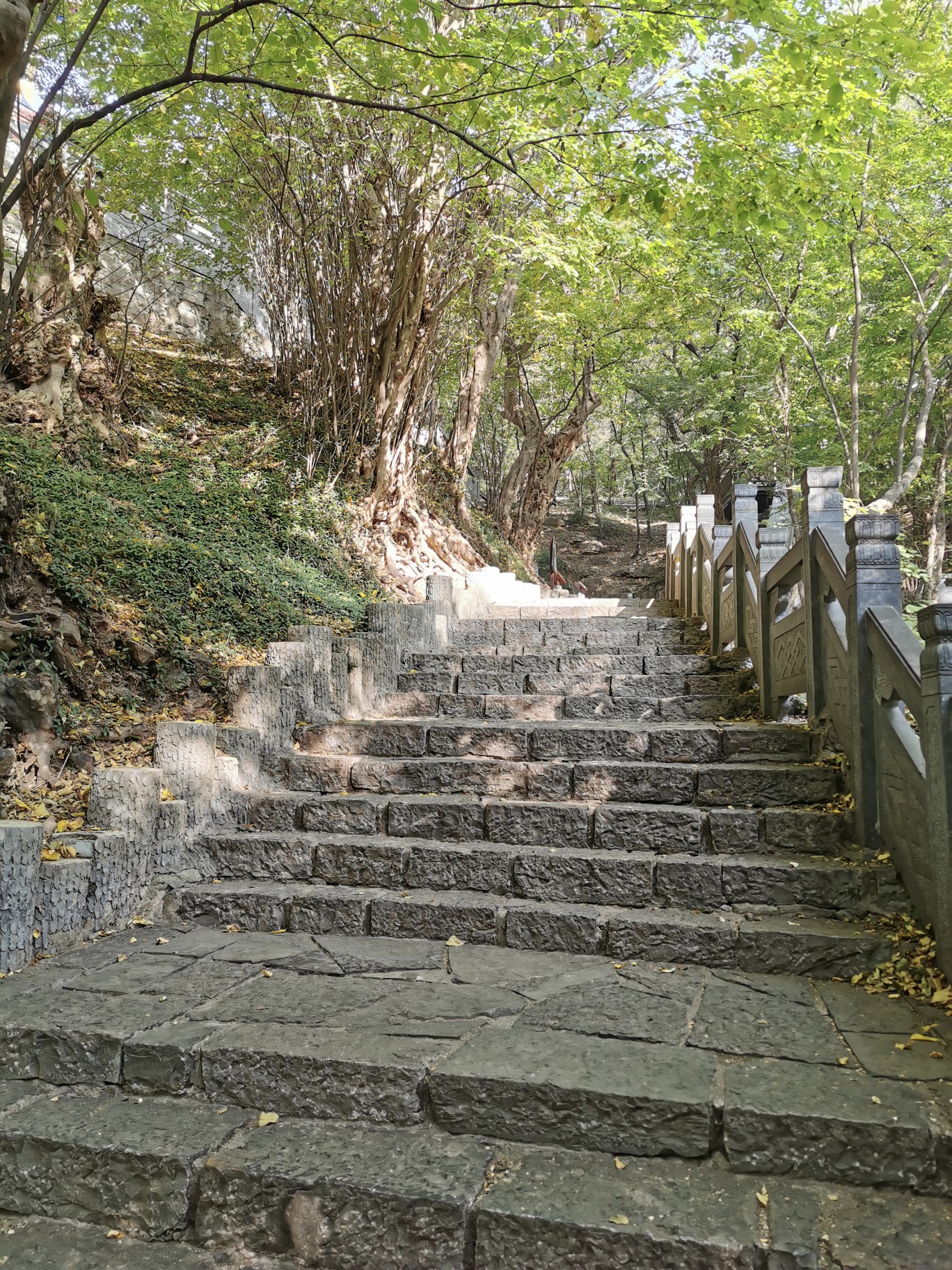 宿州附近的景点自驾游图片