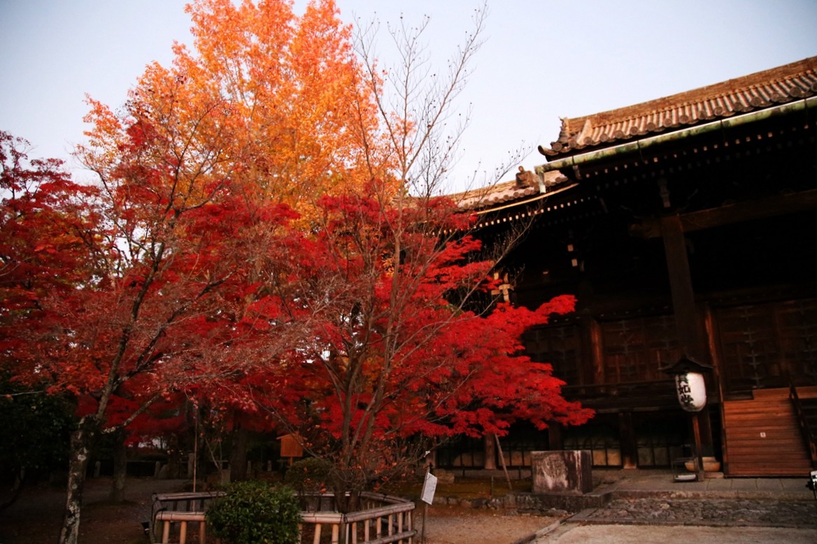 京都自助遊攻略