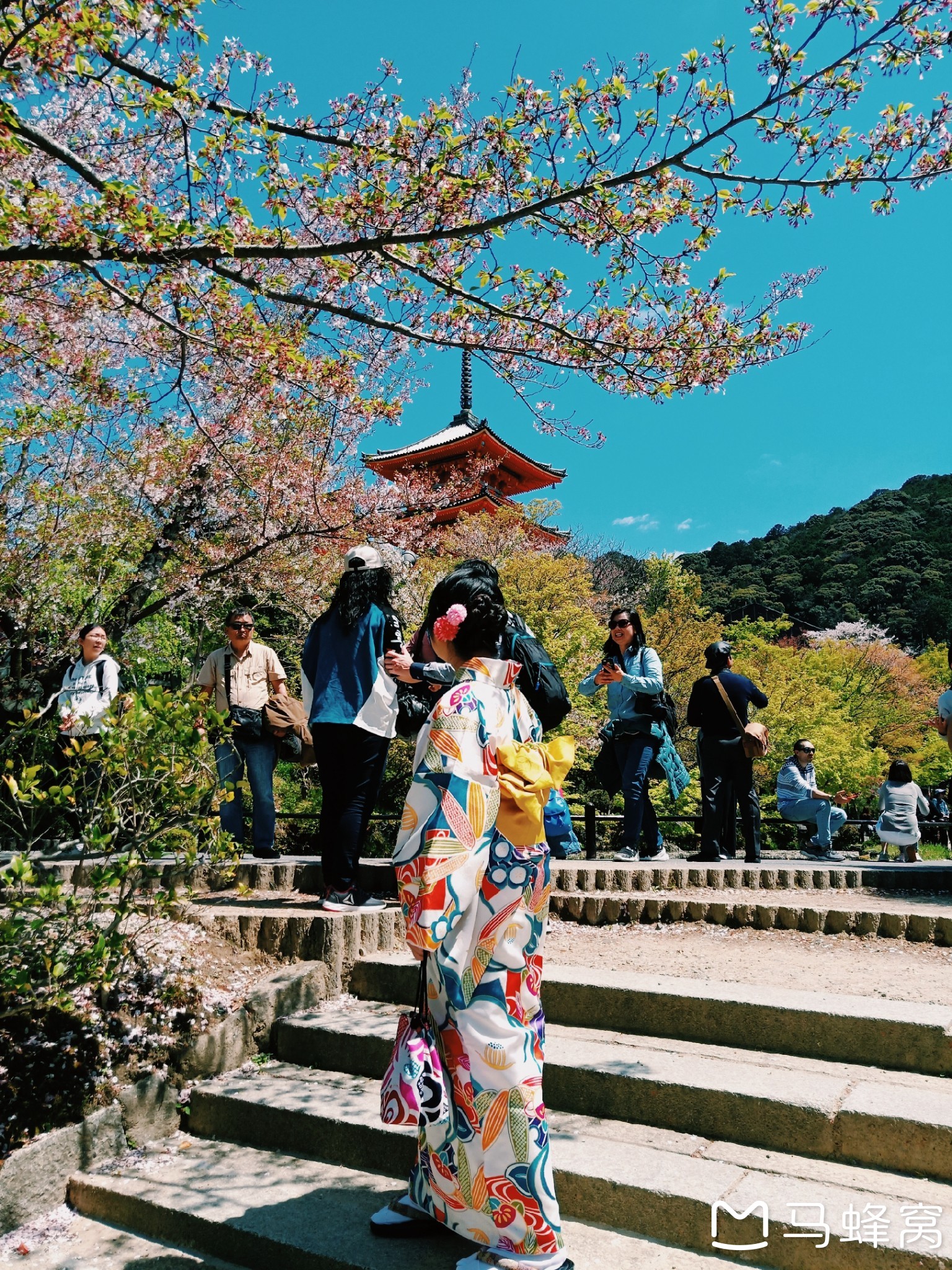 京都自助遊攻略