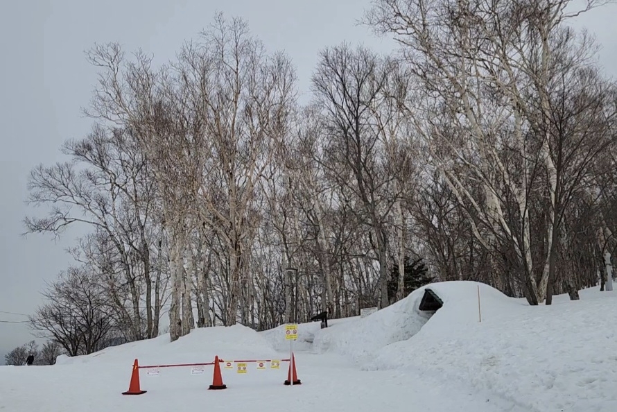 北海道自助遊攻略