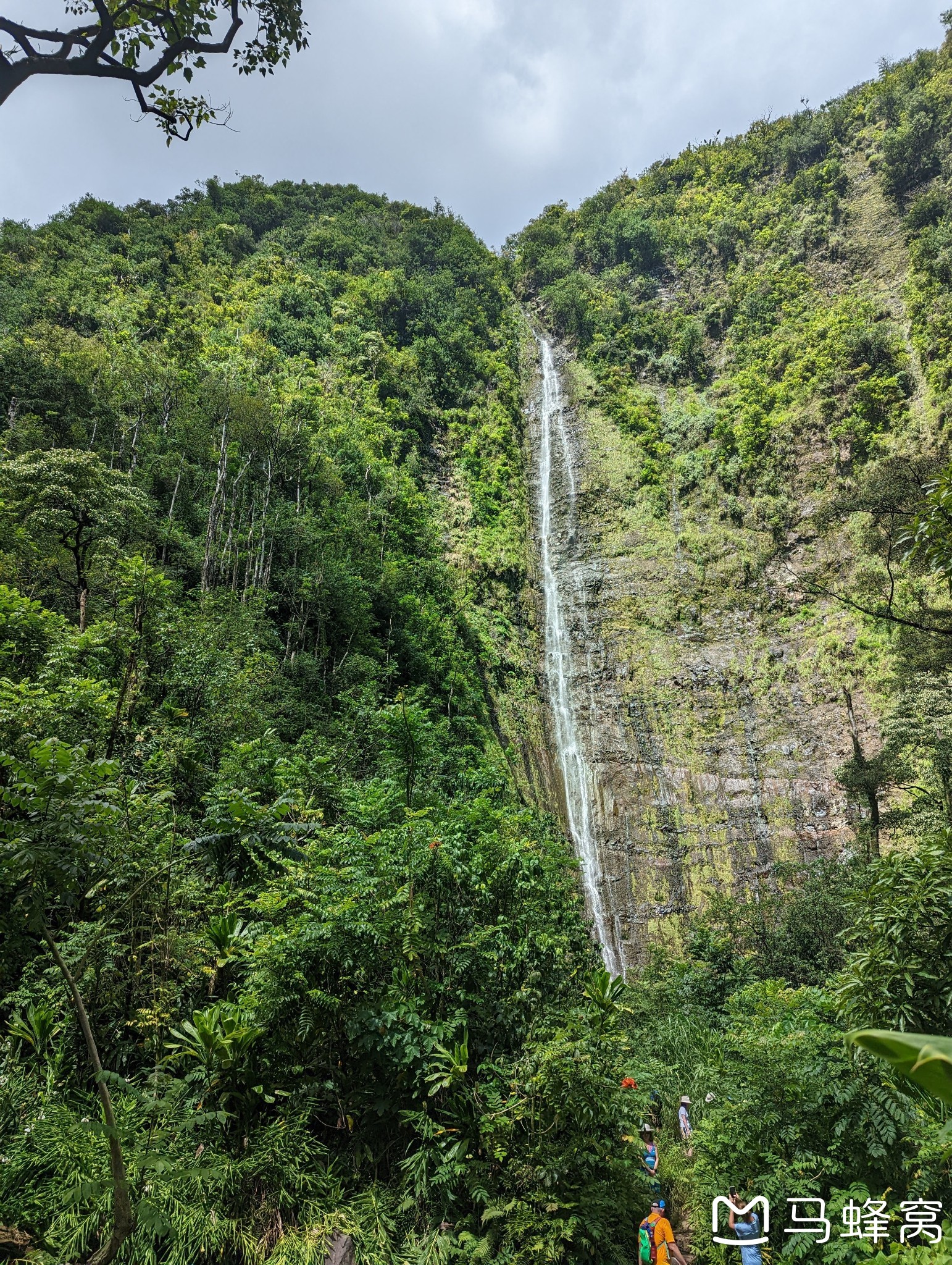 夏威夷自助遊攻略