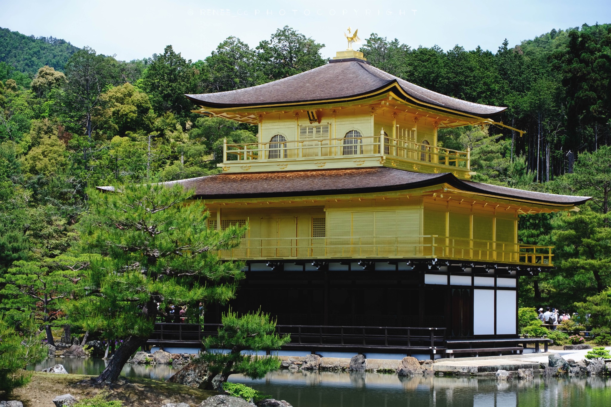 京都自助遊攻略