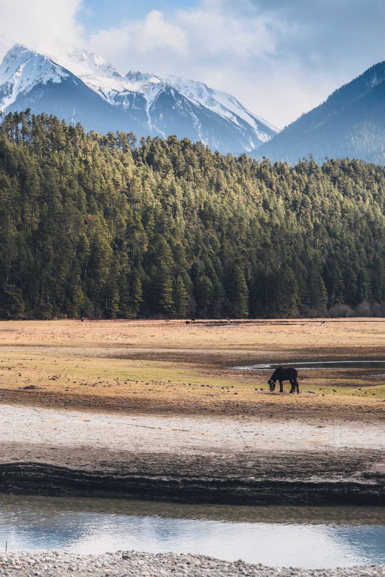 藏东杂记,林芝自助游攻略