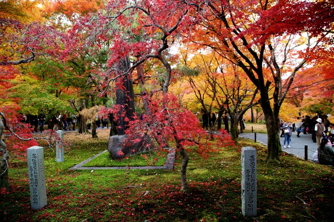 京都自助遊攻略