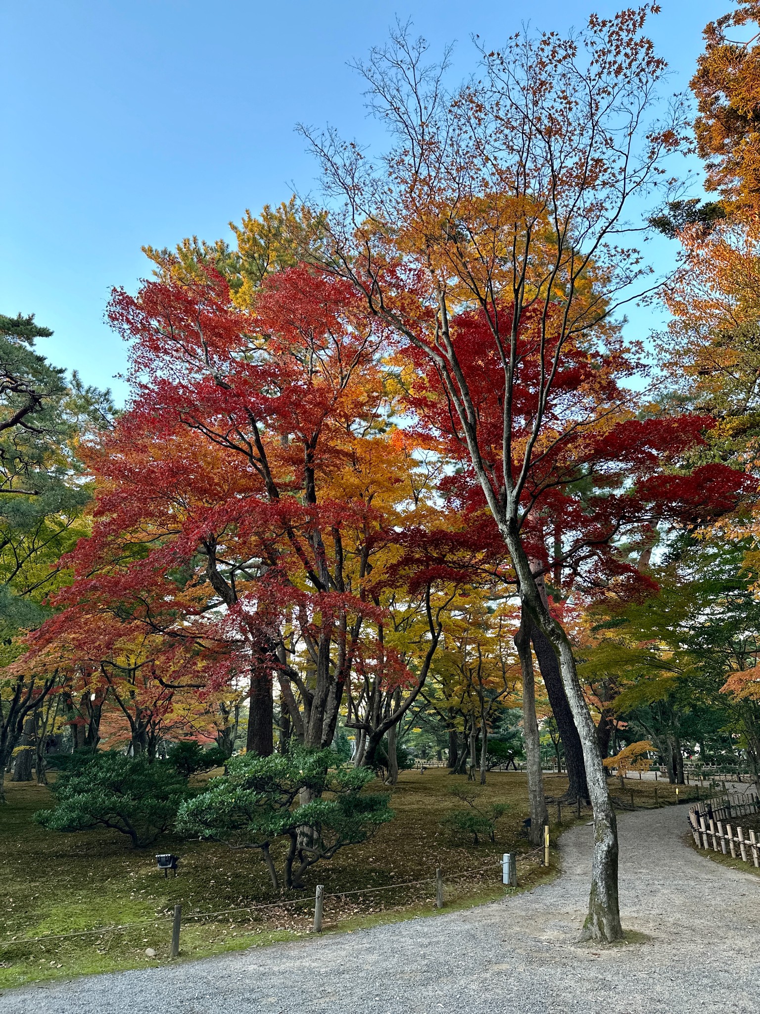 日本自助遊攻略