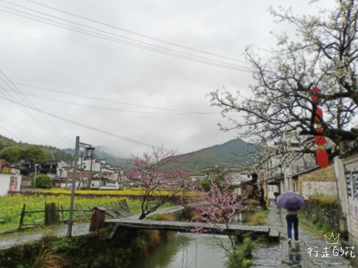 江西婺源一日游_婺源二日游_婺源一日游