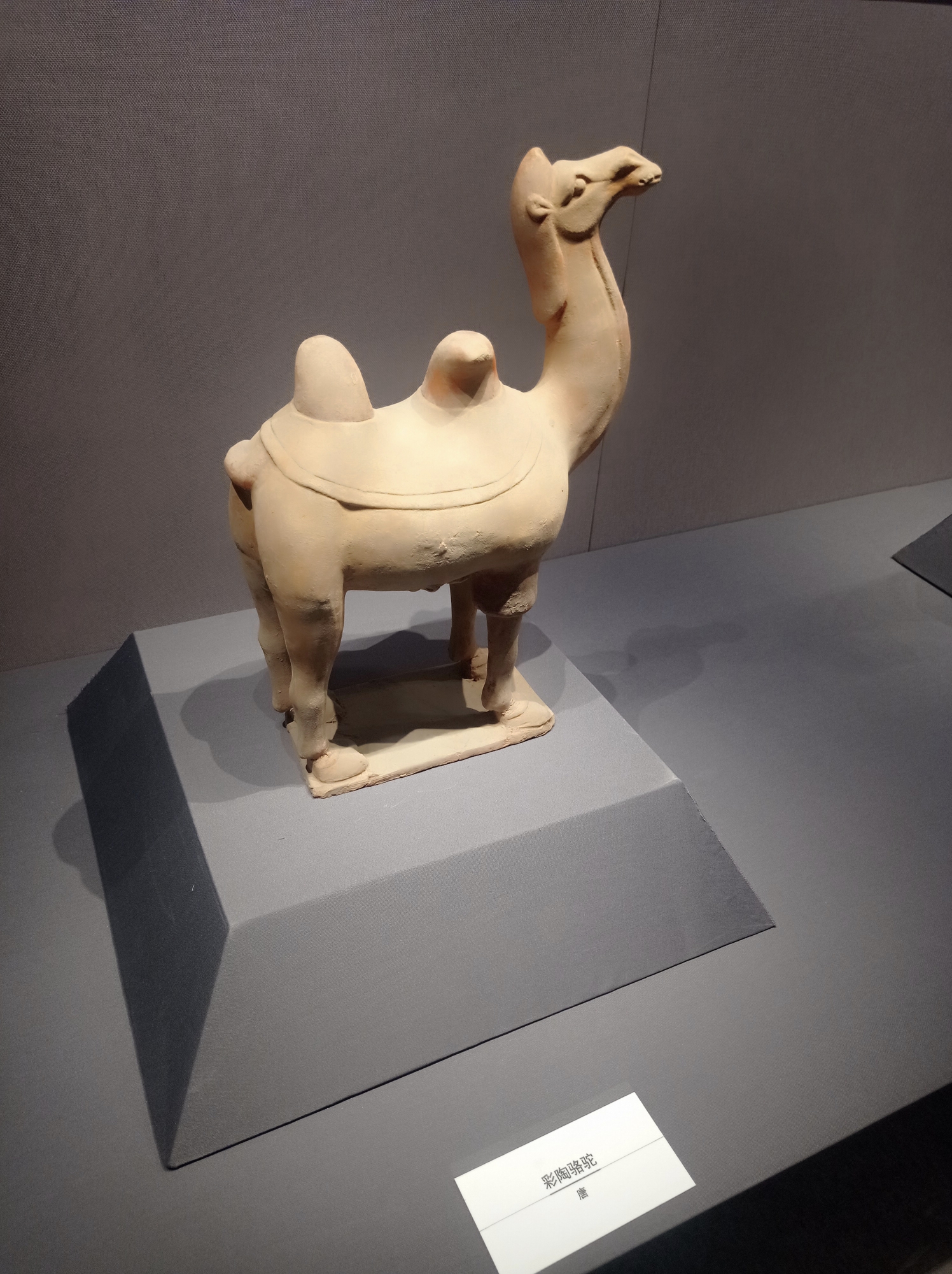 西安世博园罗曼小镇长安塔万国建筑群珍宝馆西安音乐喷泉大雁塔大唐