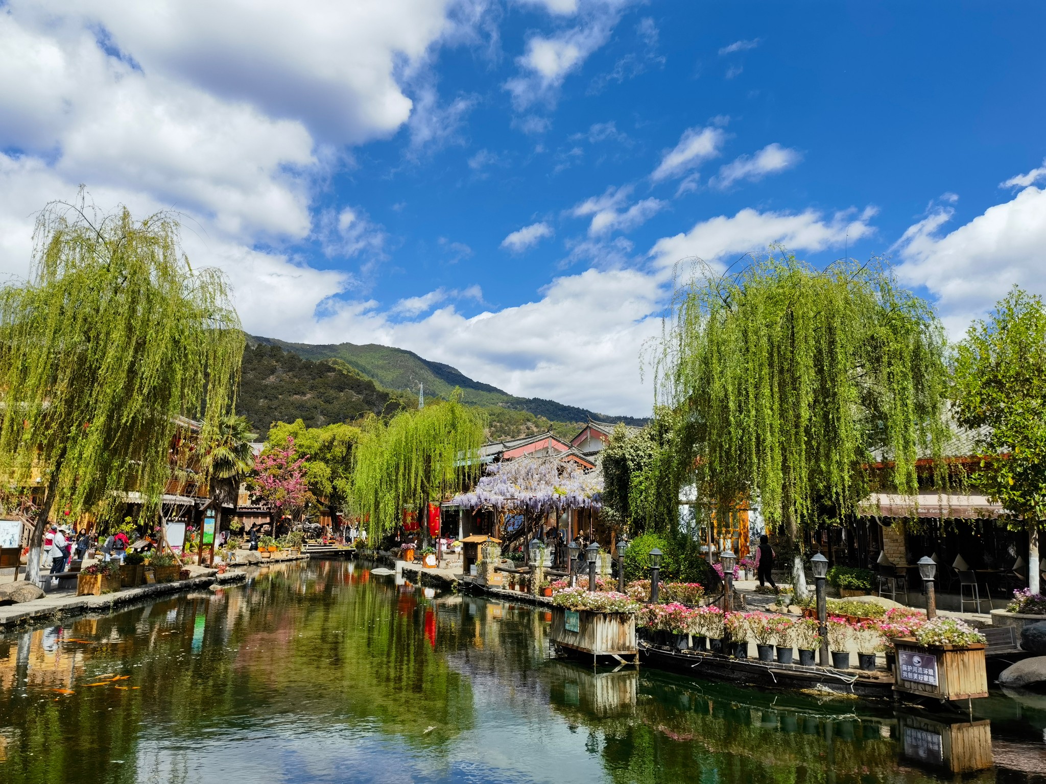 又见彩云之南（旅行日记 9）