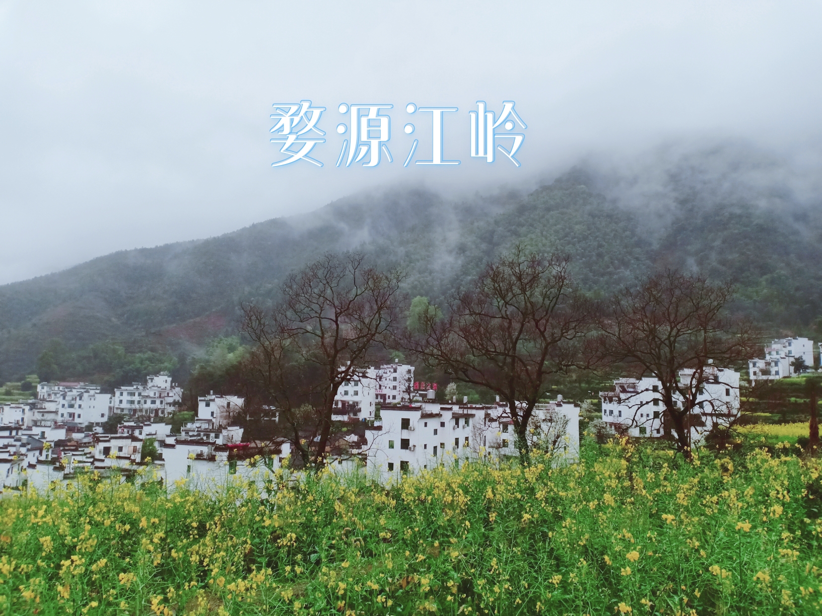 婺源一日游_婺源二日游_江西婺源一日游