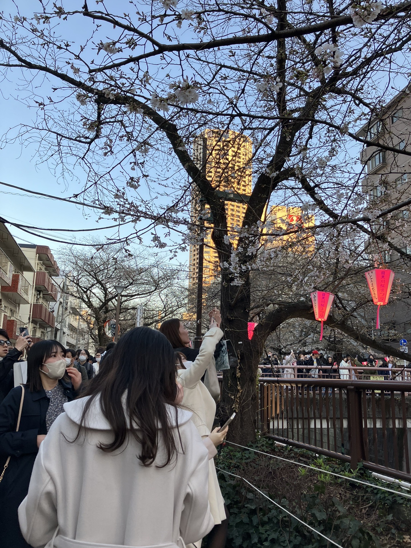 東京自助遊攻略