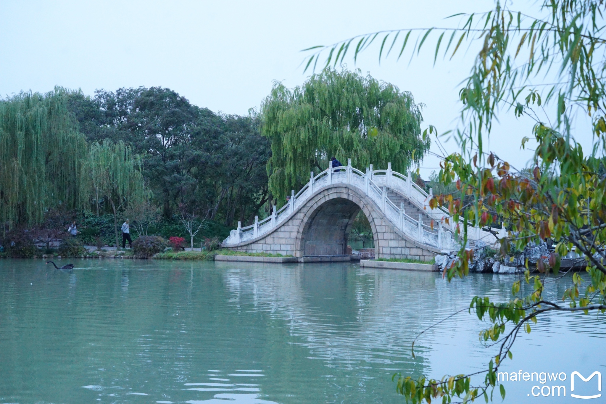 廋西湖最美风景扬州图片