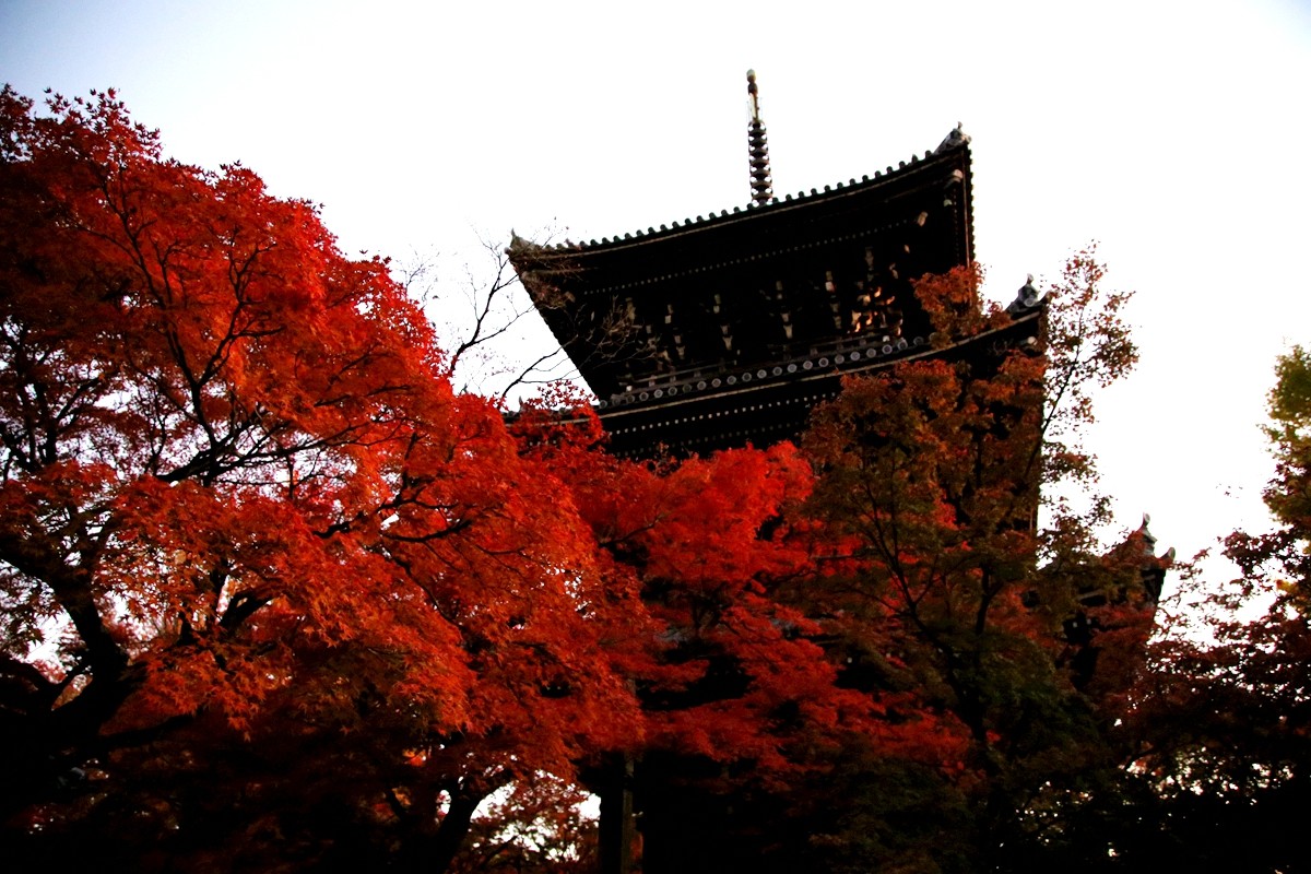 京都自助遊攻略