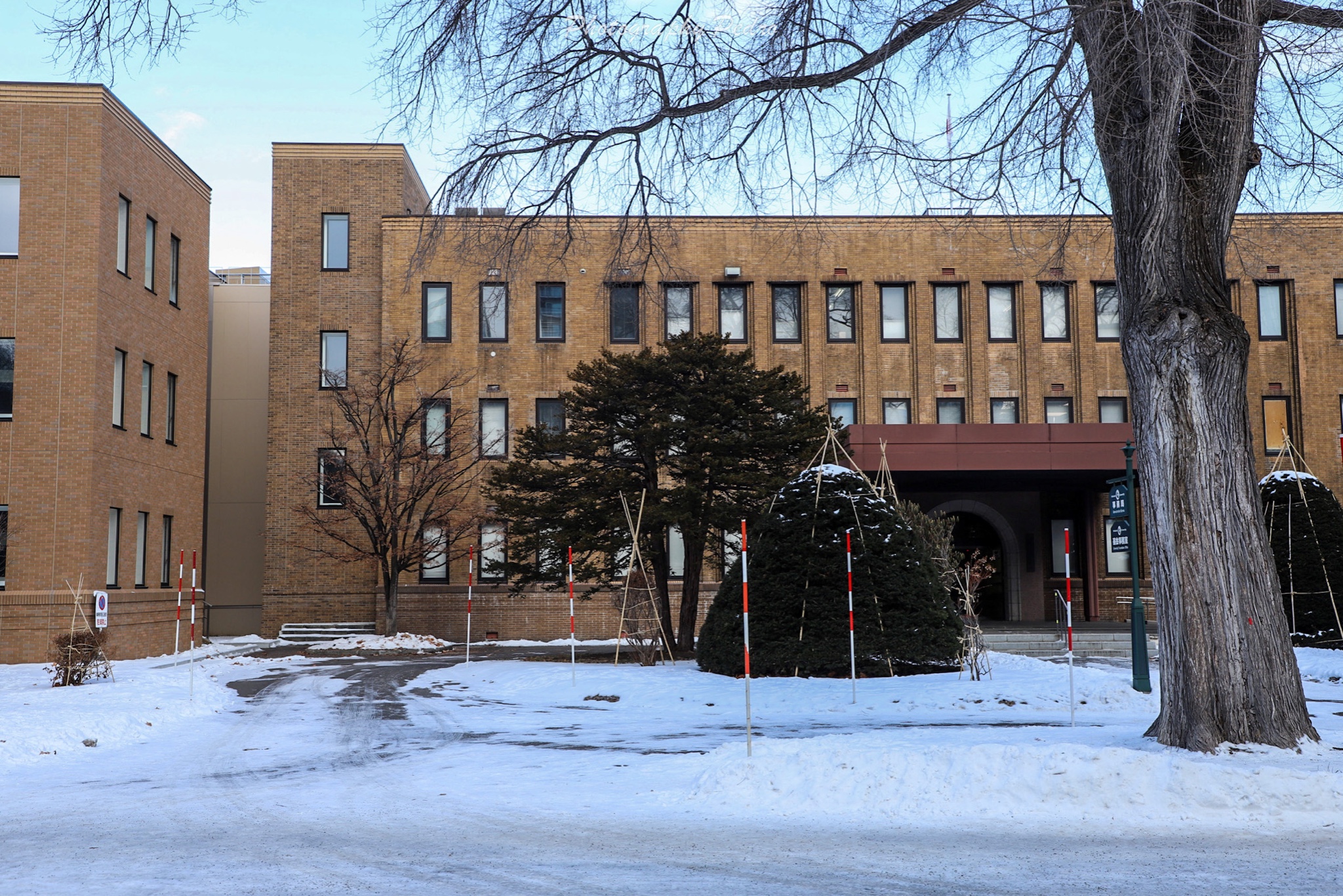 北海道自助遊攻略