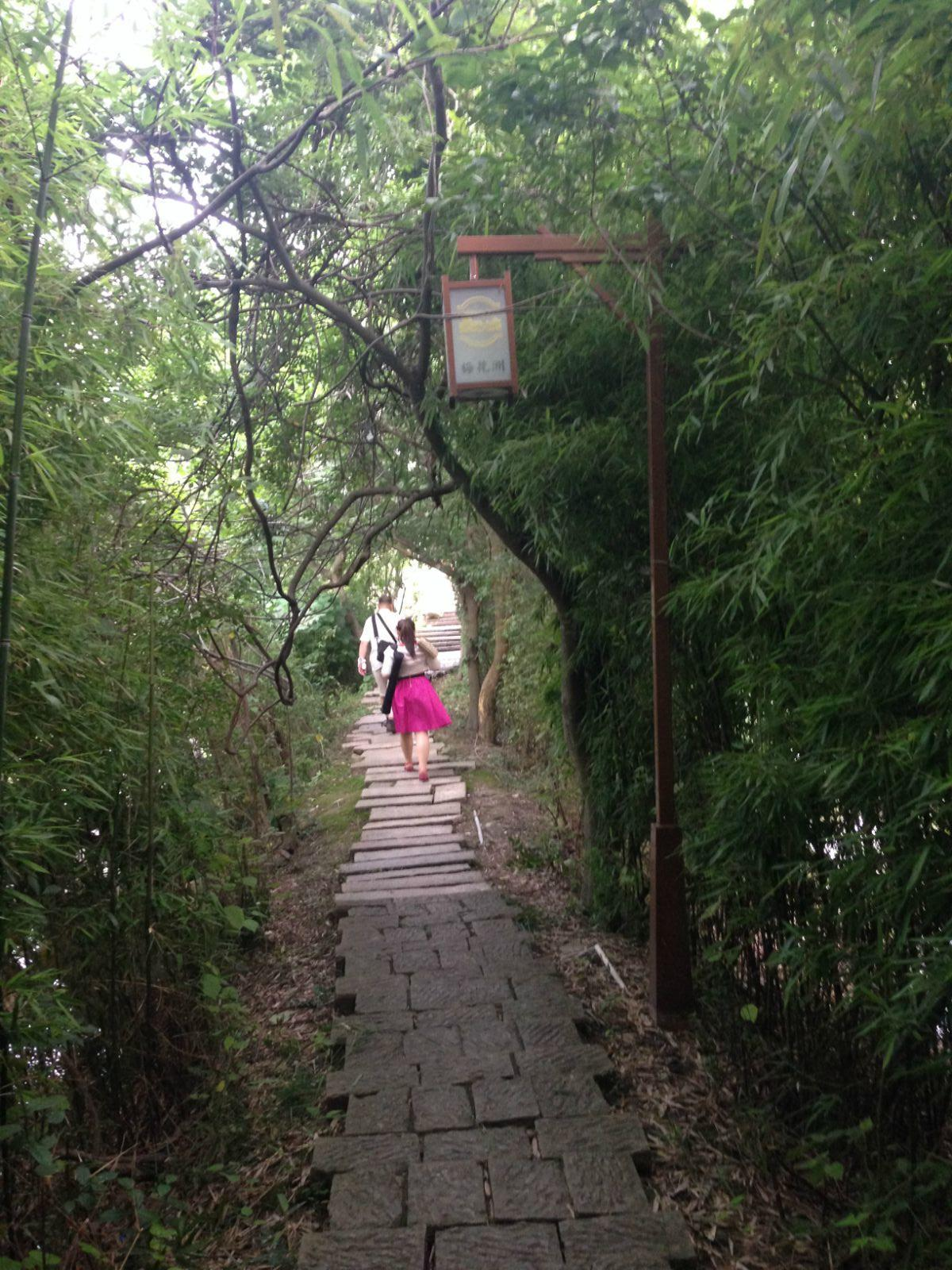 嘉兴梅花洲端午半日游2015