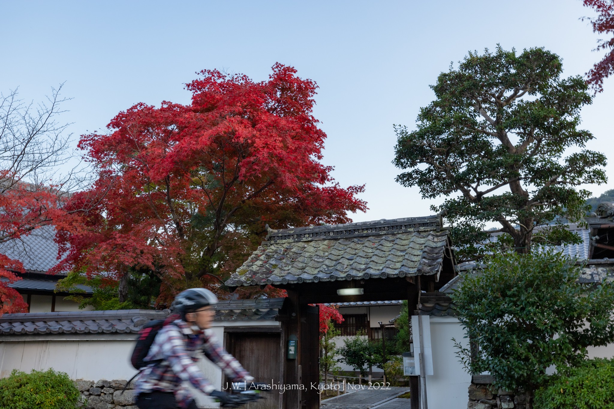 京都自助遊攻略